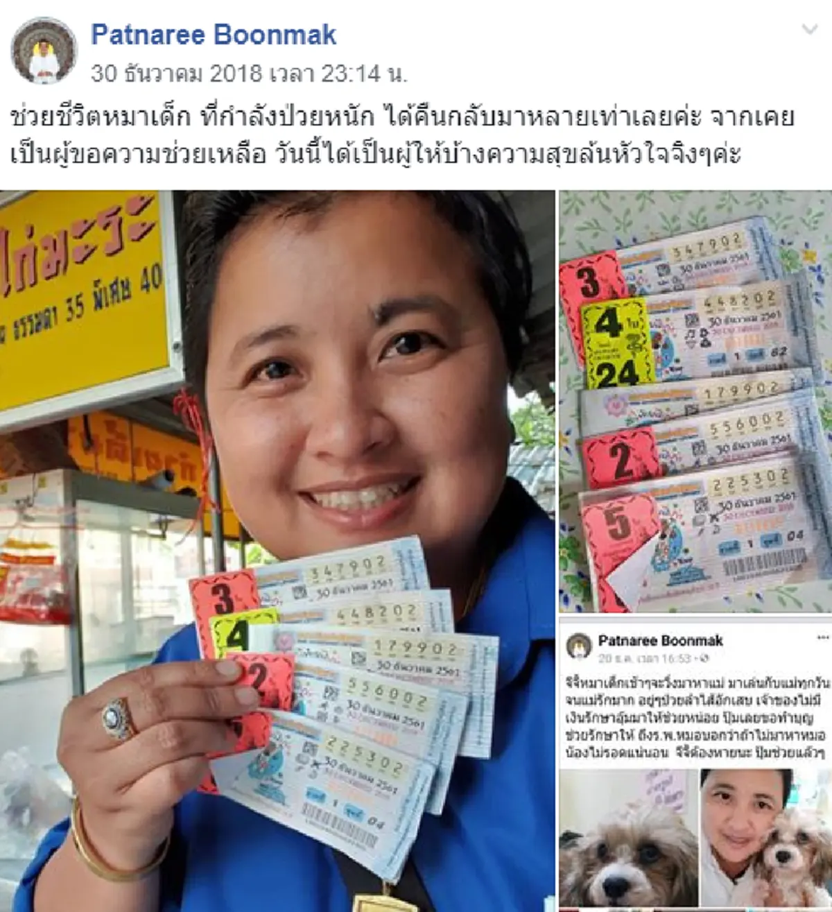 สาวใหญ่ช่วยชีวิตตูบน้อยป่วยลำไส้อักเสบ อาสาเป็นเจ้าของไข้ จ่ายค่ารักษา ผลบุญหนุนนำถูกหวย 14 ใบ