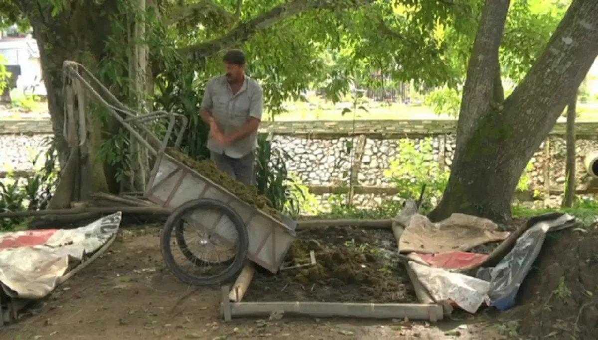 ของดีที่คนไทยมองข้าม!!ฝรั่งเดินทางมาไกล เก็บขี้ช้างทุกวันไว้ใช้ ลั่น!!คนอื่นเห็นเป็นขยะ..แต่ผมเห็นเป็นทองคำ!! พีคหนัก..เมื่อรู้สาเหตุนำไปใช้