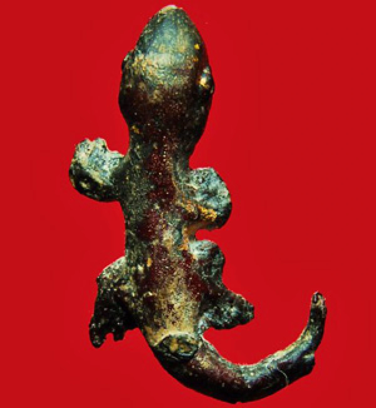 เก่งไม่ซ้ำใคร..ตุ๊กแก!! "หลวงพ่อครื้น" เสกที่ไร ต้องกางมุ้งไว้!! ชอบกระโดดออกนอกบาตร ไว้กันขโมยดีนัก ส่งเสียงร้องเตือนเจ้าของบ้าน..