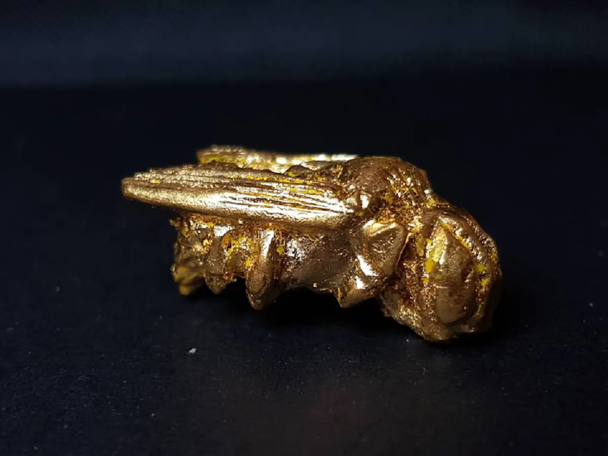 เครื่องรางคู่บารมี"บุเรงนอง" แมลงภู่คำ ของดีจากล้านนา ใช้ได้สารพัด กันผี กันภัย เมตตา ได้ครบทุกอย่าง!!! ของดีที่สร้างยากและซับซ้อน!