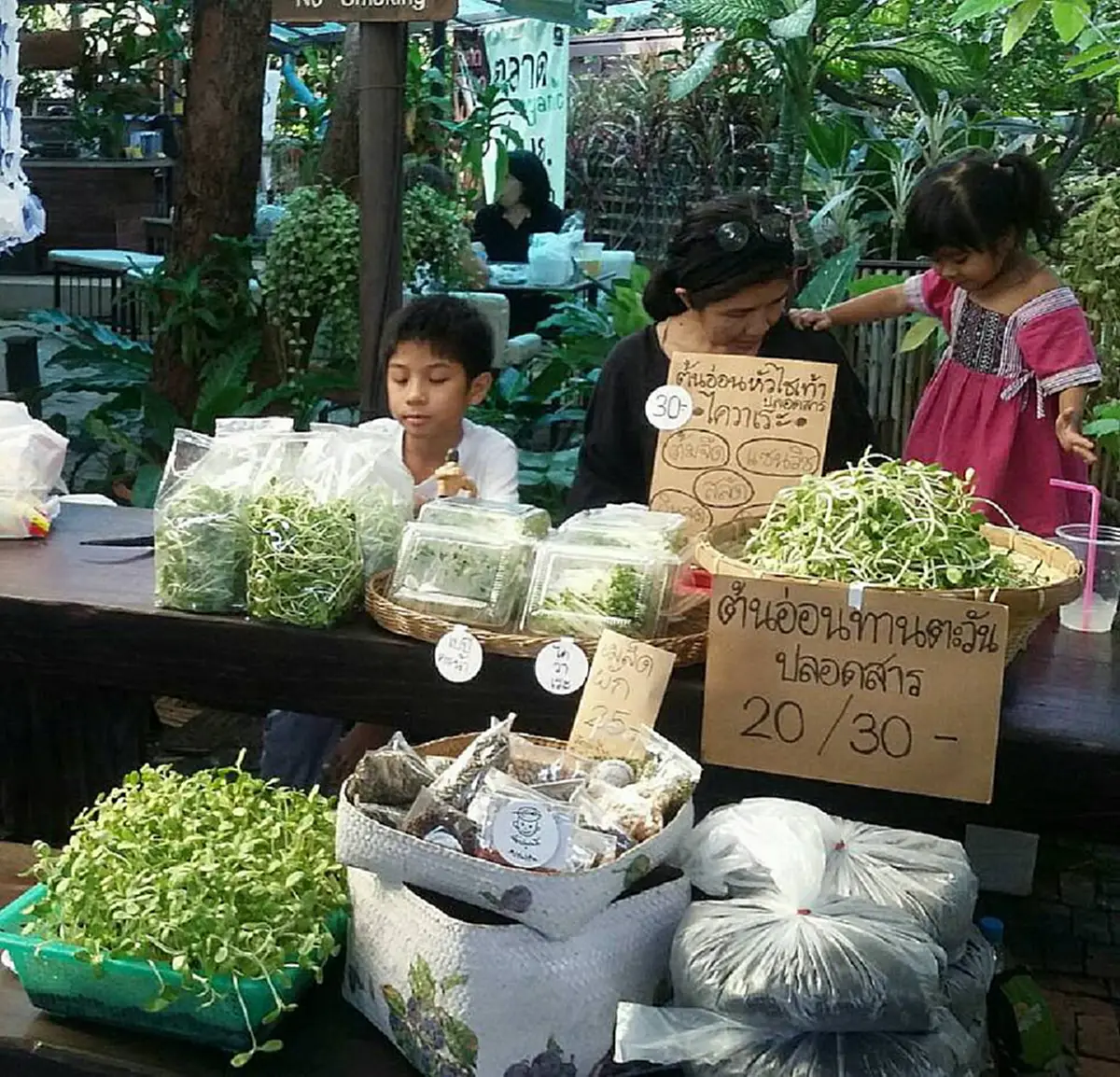 ผู้ใหญ่บางคนถึงกับอาย! เด็ก ป.4 ใช้พื้นที่ข้างบ้านปลูกผักปลอดสารพิษ ปลูก 7 วัน ไปขายเก็บเงินจ่ายค่าเทอม สร้างรายได้กว่าเดือนล่ะ 1 หมื่นบาท!