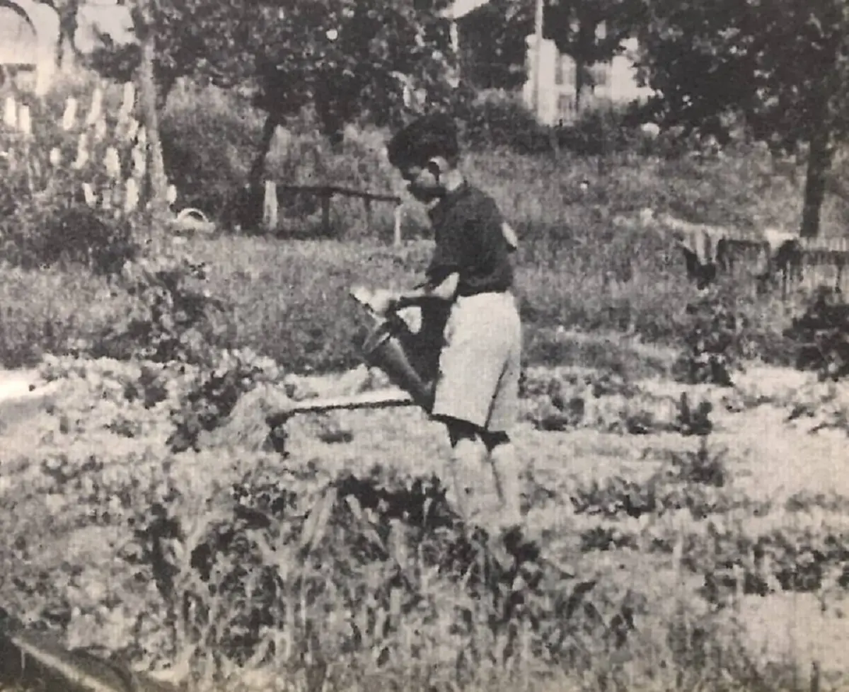 ตามรอยพ่อ!! ภาพหาชมยาก...ในหลวง ร.๙ “ทรงปลูกผักรดน้ำ” คำสอนของสมเด็จย่าสู่การเป็นพระมหากษัตริย์นักพัฒนา แบบอย่างความพอเพียงของปวงชนชาาวไทย!!