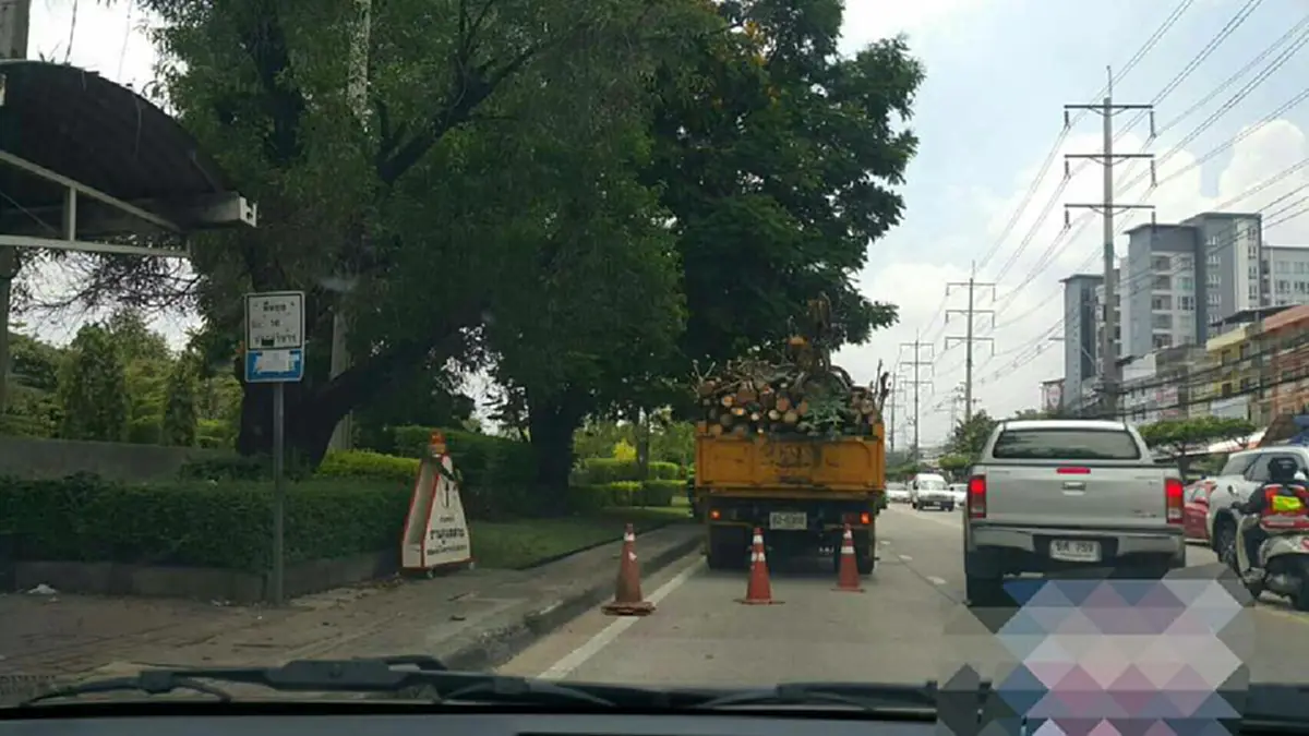 ครั้งนี้เหลืออดจริงๆ!! "อ.ธงทอง" เฉ่งยับเทศบาลนครนนท์ตัดกิ่งไม้ซะเหี้ยน แก้ปัญหาใบไม้ร่วง #คิดได้แค่นี้หรือ??