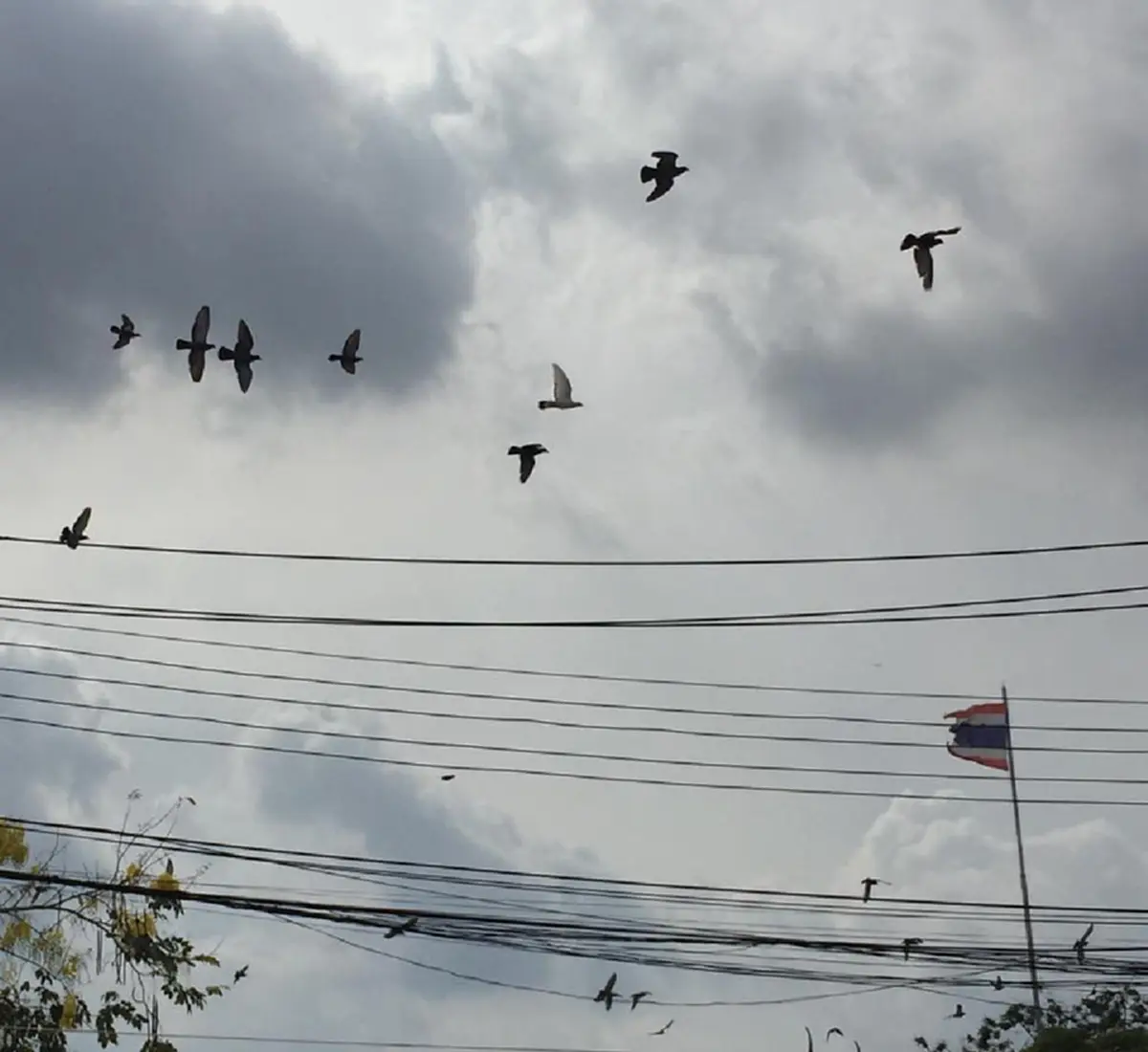 แซ่ซ้องสาธุการ!!! "สมเด็จพระสังฆราชฯ" ทรงเททองหล่อรูปเหมือน "สมเด็จพระพุฒาจารย์โต" เกิดปรากฎการณ์อัศจรรย์ขณะทำพิธี!! (มีภาพ)