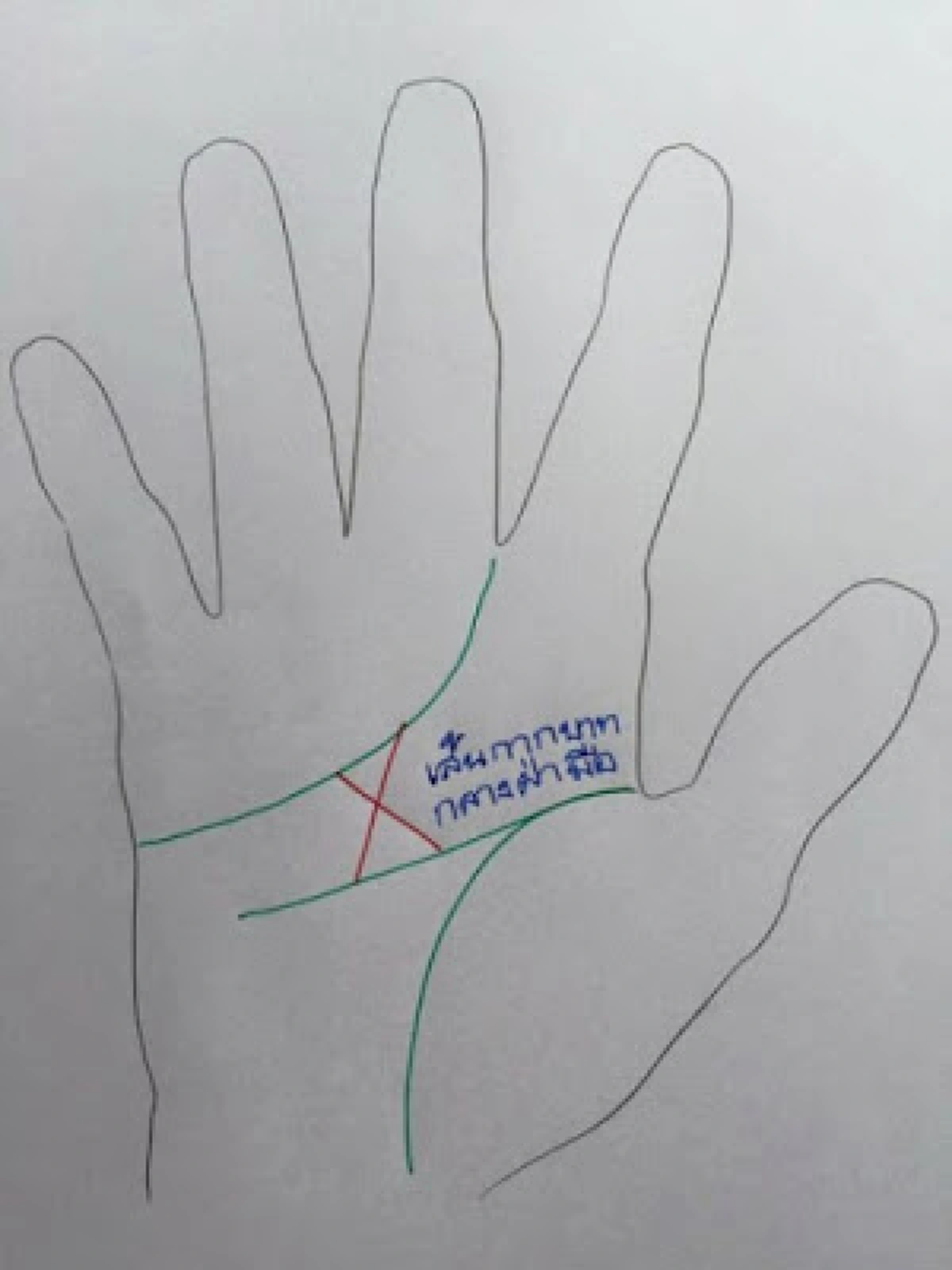 รีบหงายมือขึ้นมาดู !!! ลักษณะเด่นเส้นลายมือ ที่บ่งบอกว่า อนาคตเศรษฐี อาจจะเป็นคุณ!
