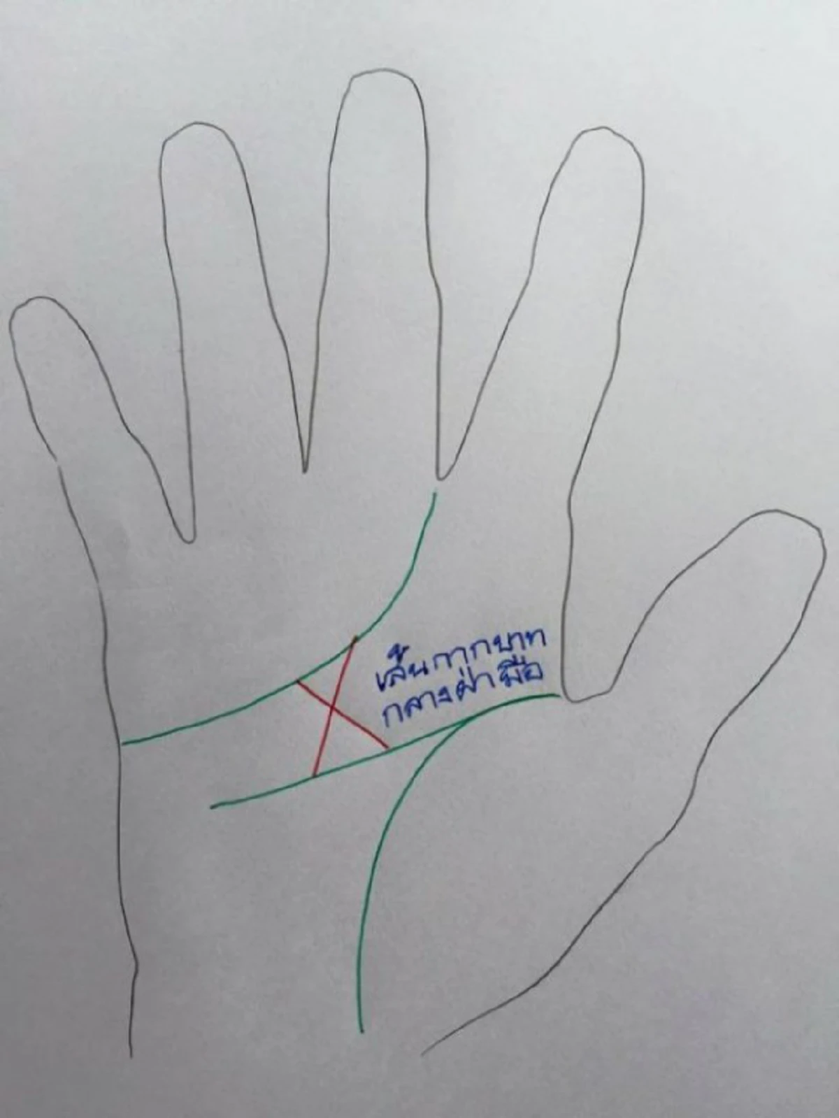 เช็คให้ไวเลย!!! หงายมือขึ้นมาดูด่วน ลักษณะเด่นเส้นลายมือ ใครที่มีพอเห็นรู้เลย อนาคตมีเกณฑ์ได้เป็นเศรษฐีแน่นอน!!!