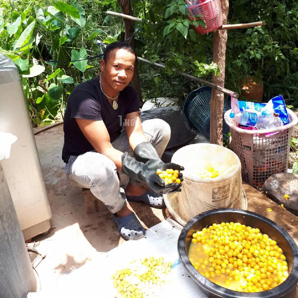 สุดยอดลูกทุ่งสมถะ!! ส่องชีวิตเรียบง่ายของ "ไมค์ ภิรมย์พร" ในวันว่างจากทัวร์คอนเสิร์ต ชาวเน็ตต่างยกนิ้วให้ในความติดดิน ? (ชมภาพ)
