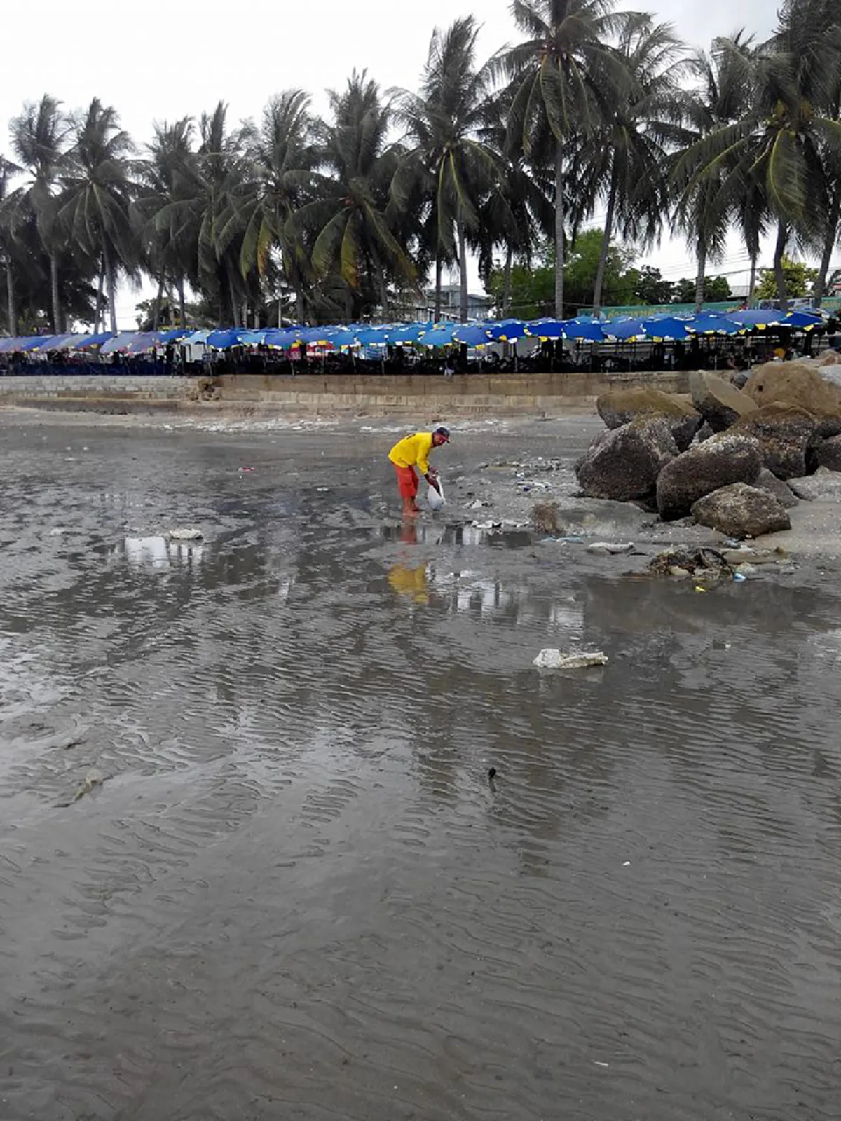 สุดยอด !!! คำตอบจากชายที่เก็บขวดริมหาดบางแสน ทำแบบนี้เพื่ออะไร ชาวเน็ตแห่คอมเม้นท์เพียบ......งานนี้พวกชอบทิ้งมีสะอึก!