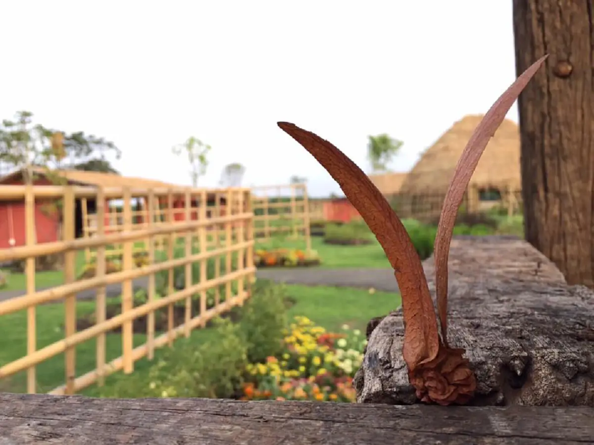 ก้าวตามรอยพระบาททูลกระหม่อมตา บนวิถีพอเพียง ทำความรู้จัก “ซแรย์ อทิตยา” ศูนย์การเรียรู้ทางการเกษตร พระองค์เจ้าอทิตยาฯ เพื่อเกษตรกรไทย