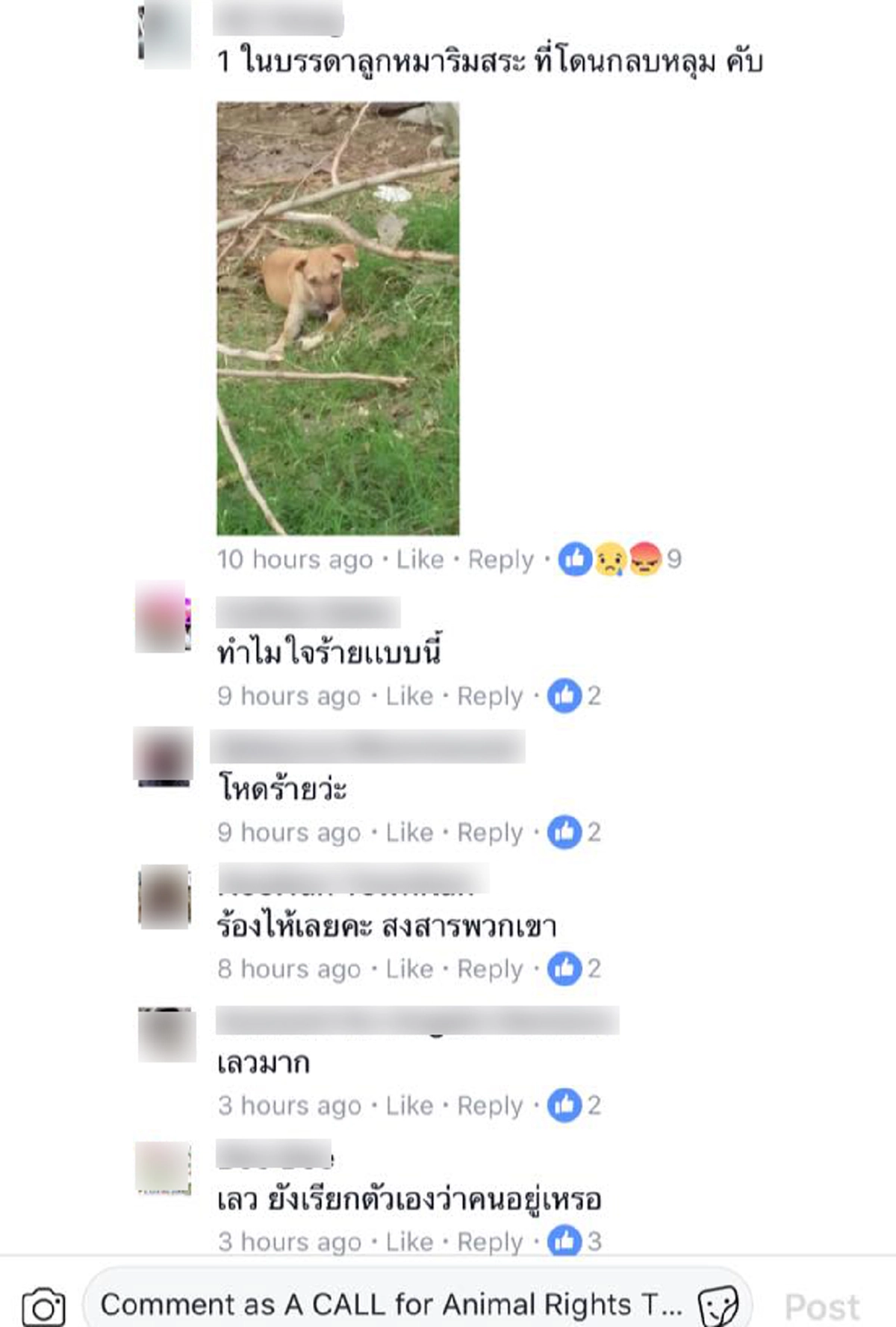 ทนไม่ได้ !!! "กลุ่มคนรักสัตว์" ประกาศรวมตัวเจรจากับผู้เกี่ยวข้อง หลัง"มหาวิทยาลัยชื่อดัง"ส่งสุนัขจรจัดไปประเวศ!!