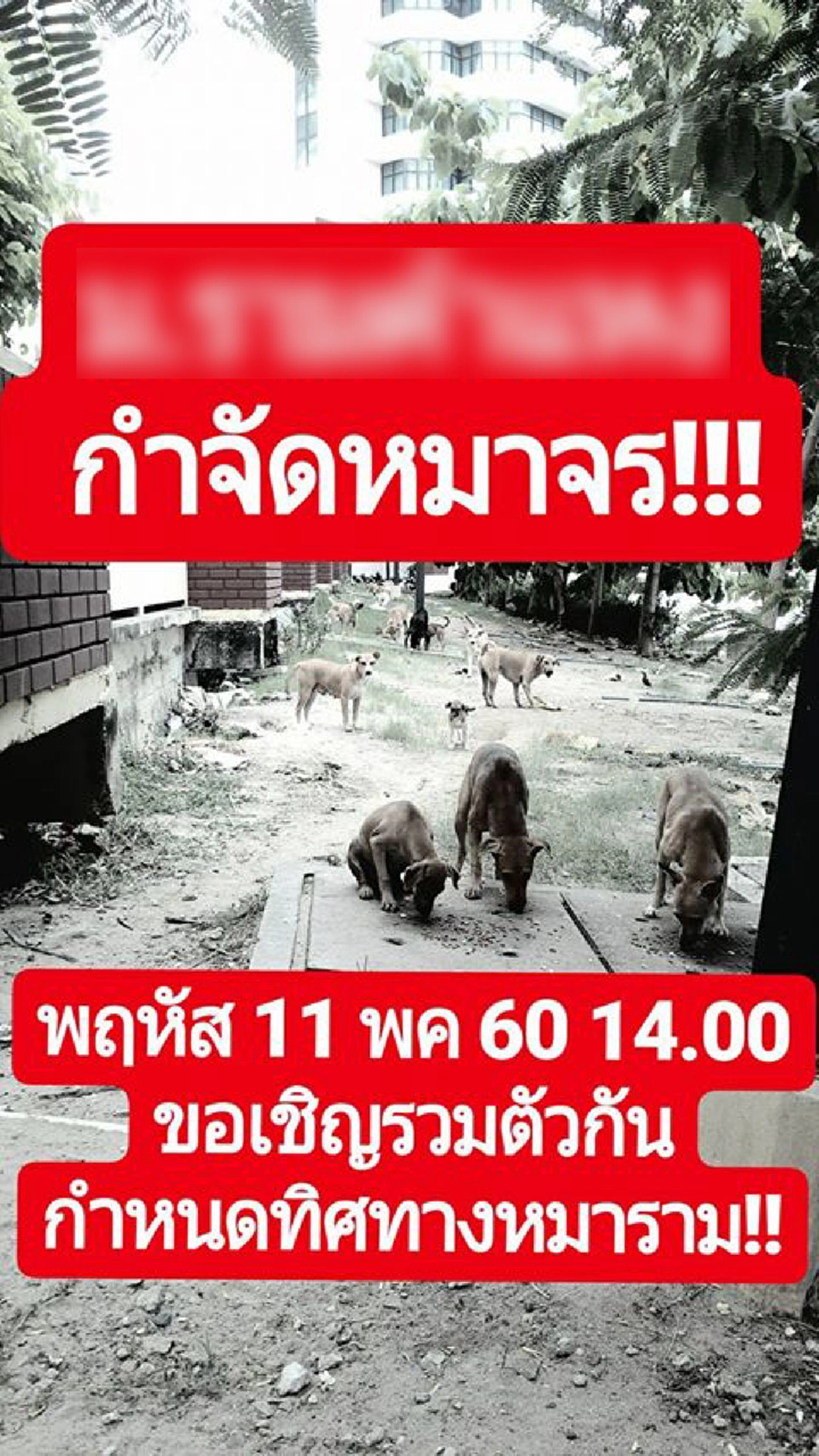 ทนไม่ได้ !!! "กลุ่มคนรักสัตว์" ประกาศรวมตัวเจรจากับผู้เกี่ยวข้อง หลัง"มหาวิทยาลัยชื่อดัง"ส่งสุนัขจรจัดไปประเวศ!!