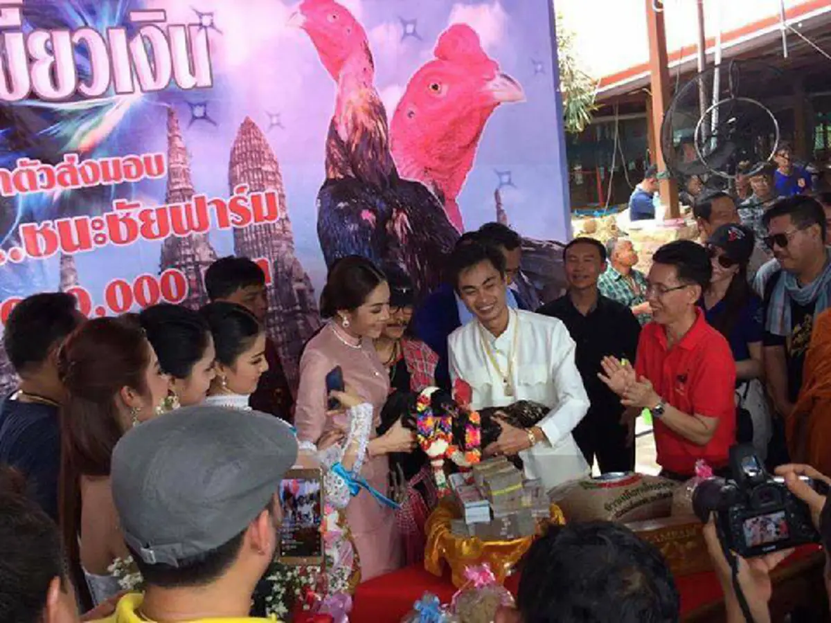 แต่งงานไก่!!"แอ๊ด คาราบาว"เป็นเถ้าแก่หอบสินสอดมูลค่า 5 ล้าน?สู่ขอ"ไก่ชน"ค่าตัวแพงสุดในโลก!! พอรู้ราคาไก่ทำเอาช็อกตาค้าง!! ไม่รวยจริงทำไม่ได้