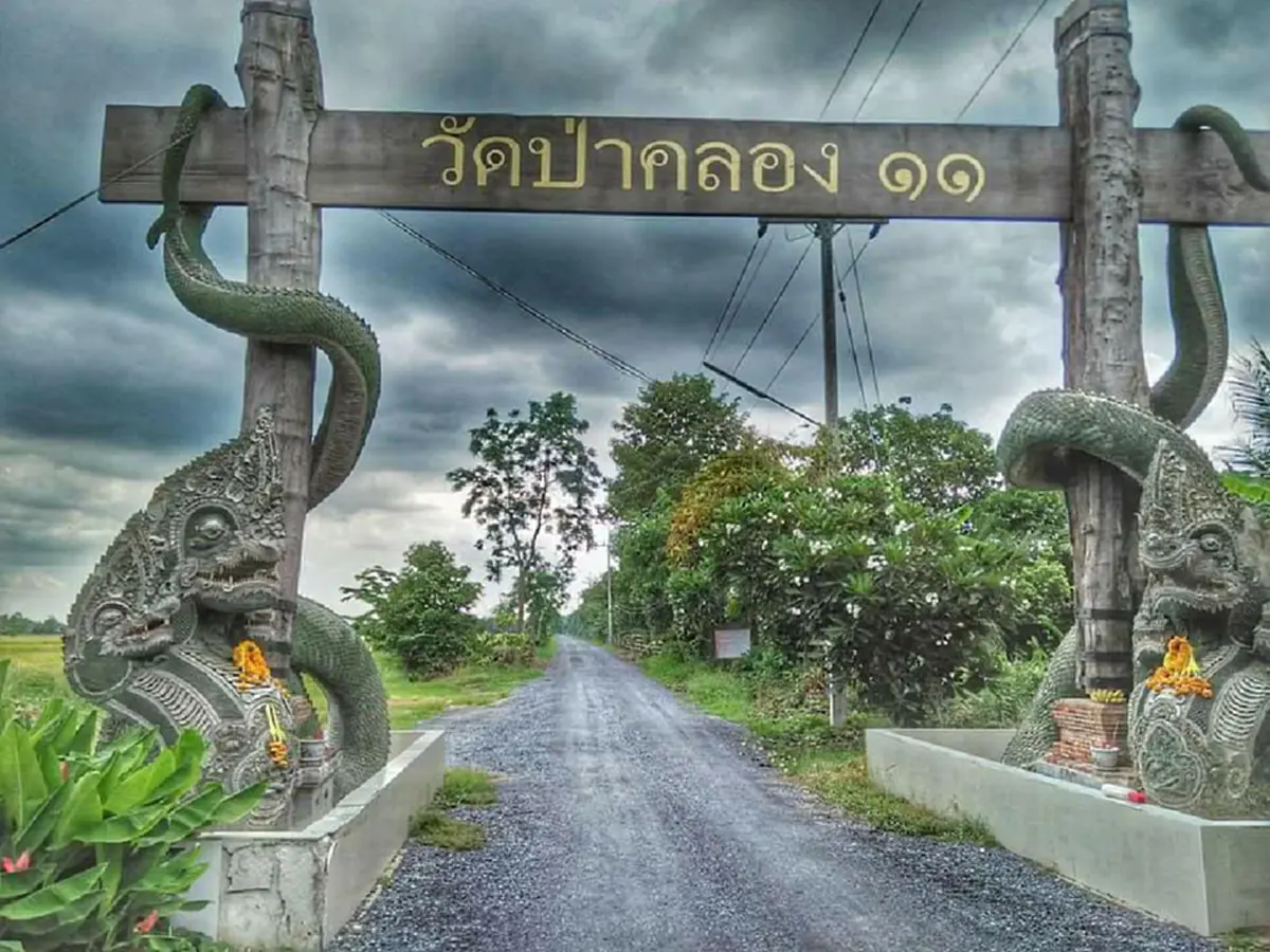 โด่งดังเพียงชั่วข้ามคืน!!  "วัดป่าคลอง11" สถานที่ศักดิ์สิทธิ์ที่ประชาชนแห่กราบไหว้ขอพร ที่มาของ "คำชะโนด 2