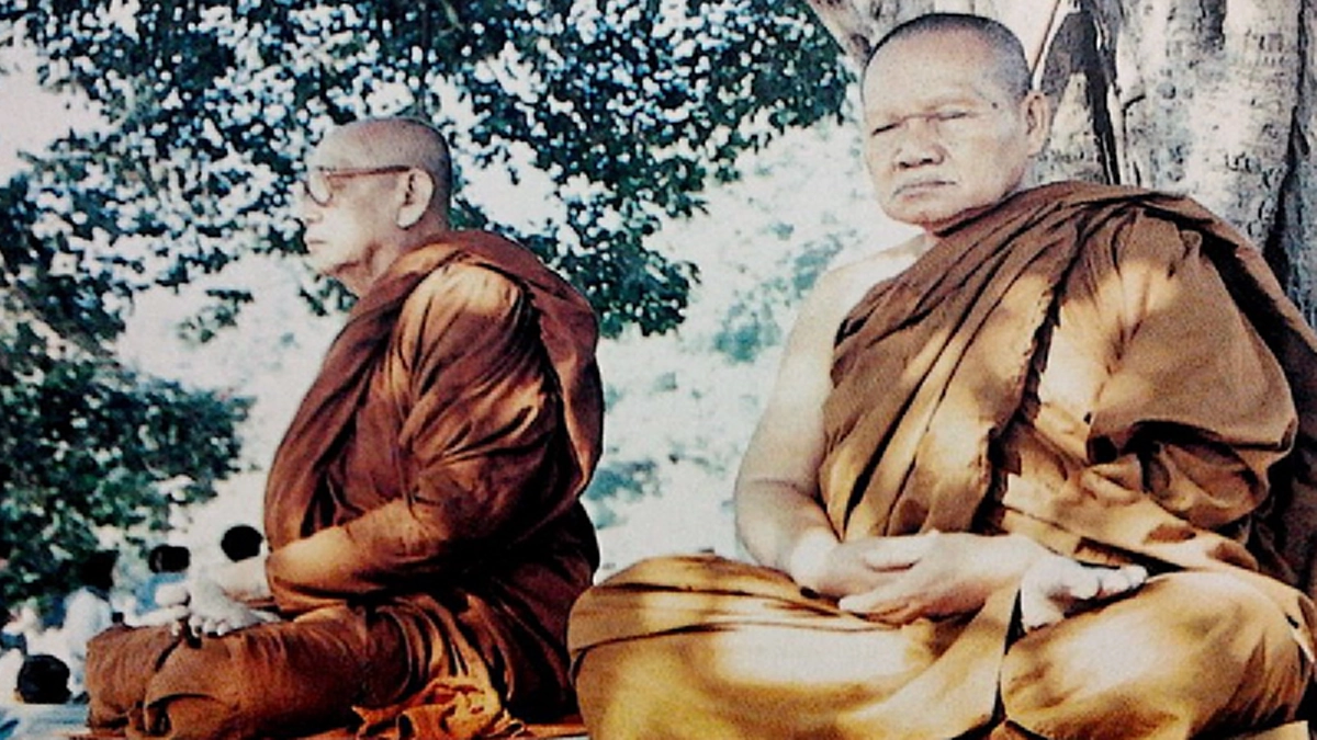 เทวดามักรักการฟังธรรม! เดินจงกรมกำลังจะพักในกลด จู่ๆ เห็นแสงสว่างเรืองรองล้อมกลดหลวงปู่แว่น ดูใกล้ๆ ถึงกับชะงัก... #ประสบการณ์พระป่า