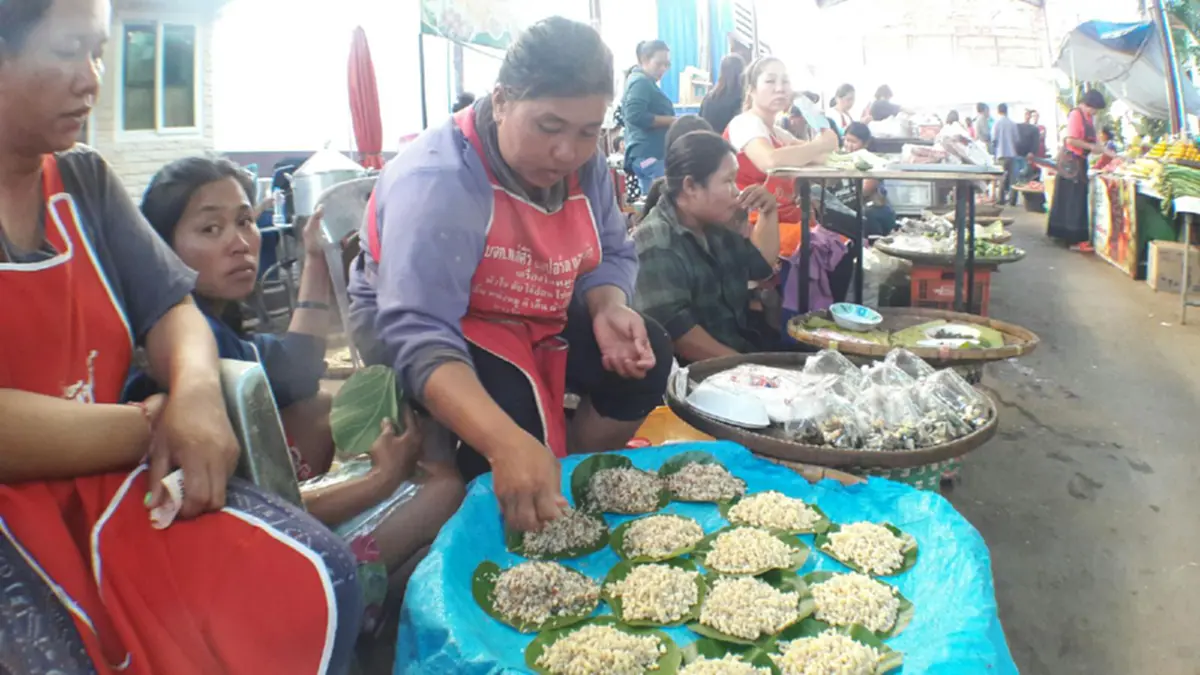 สุดอร่อย!!!ไข่มดแดง...อาหารพื้นบ้านราคาแพงทางภาคอีสานปรุงได้หลากหลายเมนู!!อ่านกว่าจะได้มาเป็นอาหารกับขบวนการแหย่ไข่มดแดง