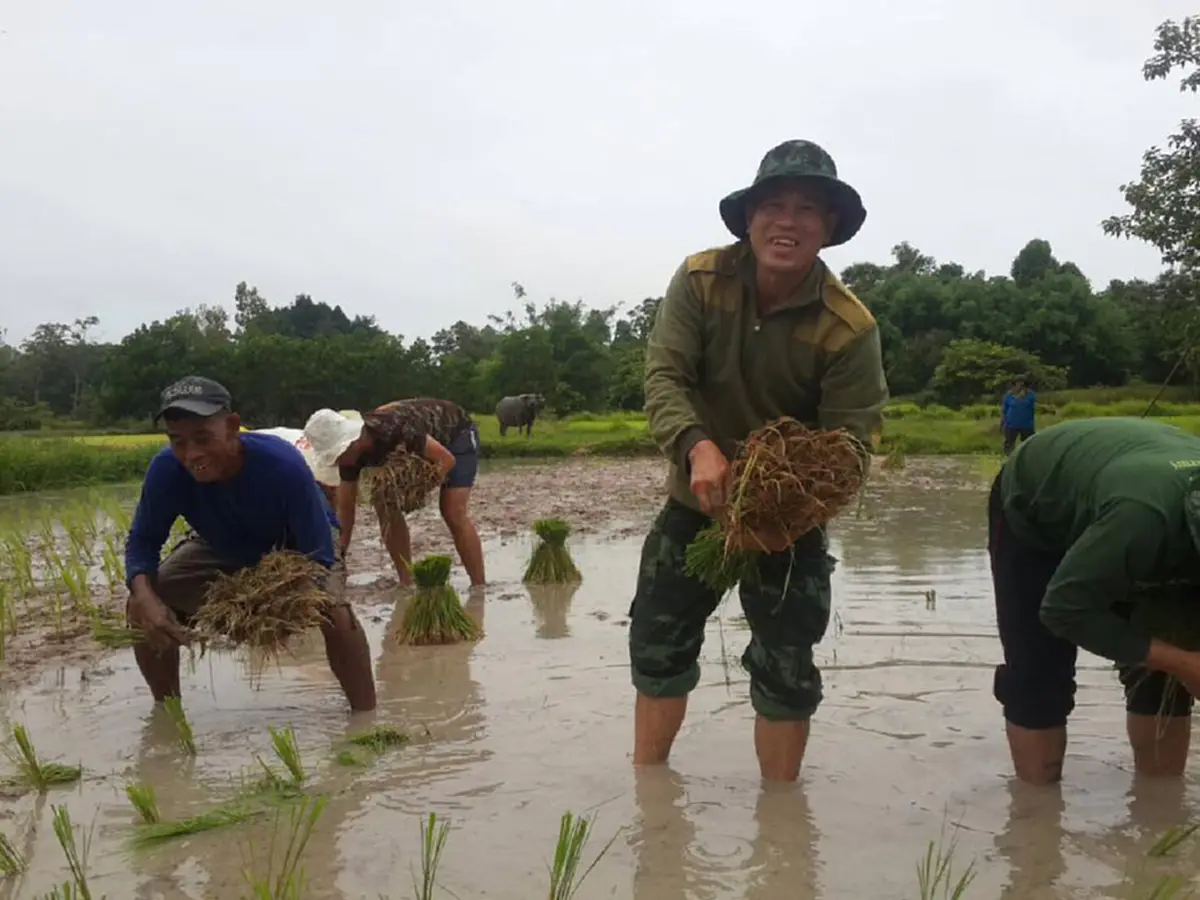 ภาพประทับใจ !!! ทหาร กกล.รส. ถกขากางเกง ลุยโคลนช่วย 2 ตา-ยาย ดำนา นี่แหละทหารของประชาชนโดยเเท้จริง !??