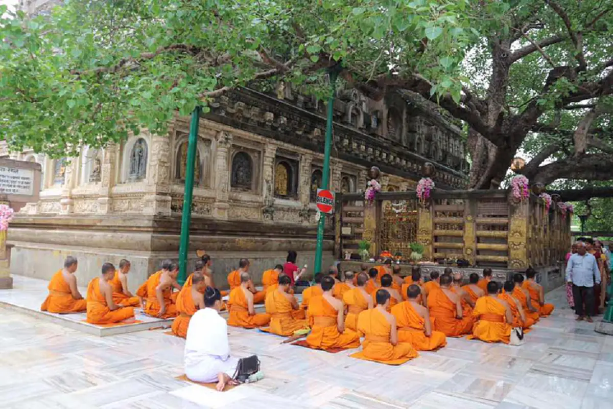 พระสงฆ์ยังมั่นคงพระศาสดา! พระศรีมหาโพธิ์พุทธคยาแค่กิ่งหัก- ไม่ใช่ต้นที่พระพุทธเจ้าตรัสรู้
