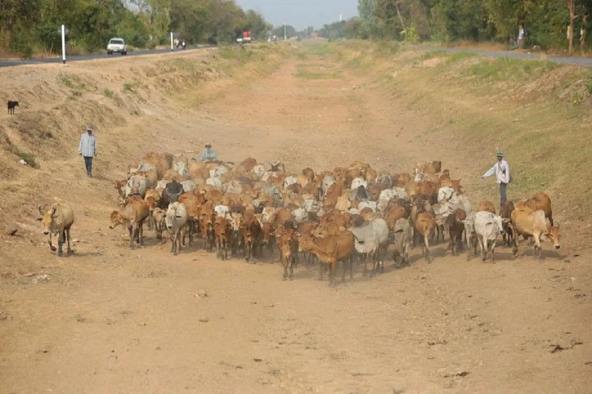 ภาพนี้..เป็นที่สุดความรู้สึกคนไทย!! "มูลนิธิอิศรา อมันตกุล" มอบรางวัลภาพยอดเยี่ยม "คืนฝนตก" หญิงสาวยืนกางร่มบังพระบรมฉายาลักษณ์ในหลวง ร.9