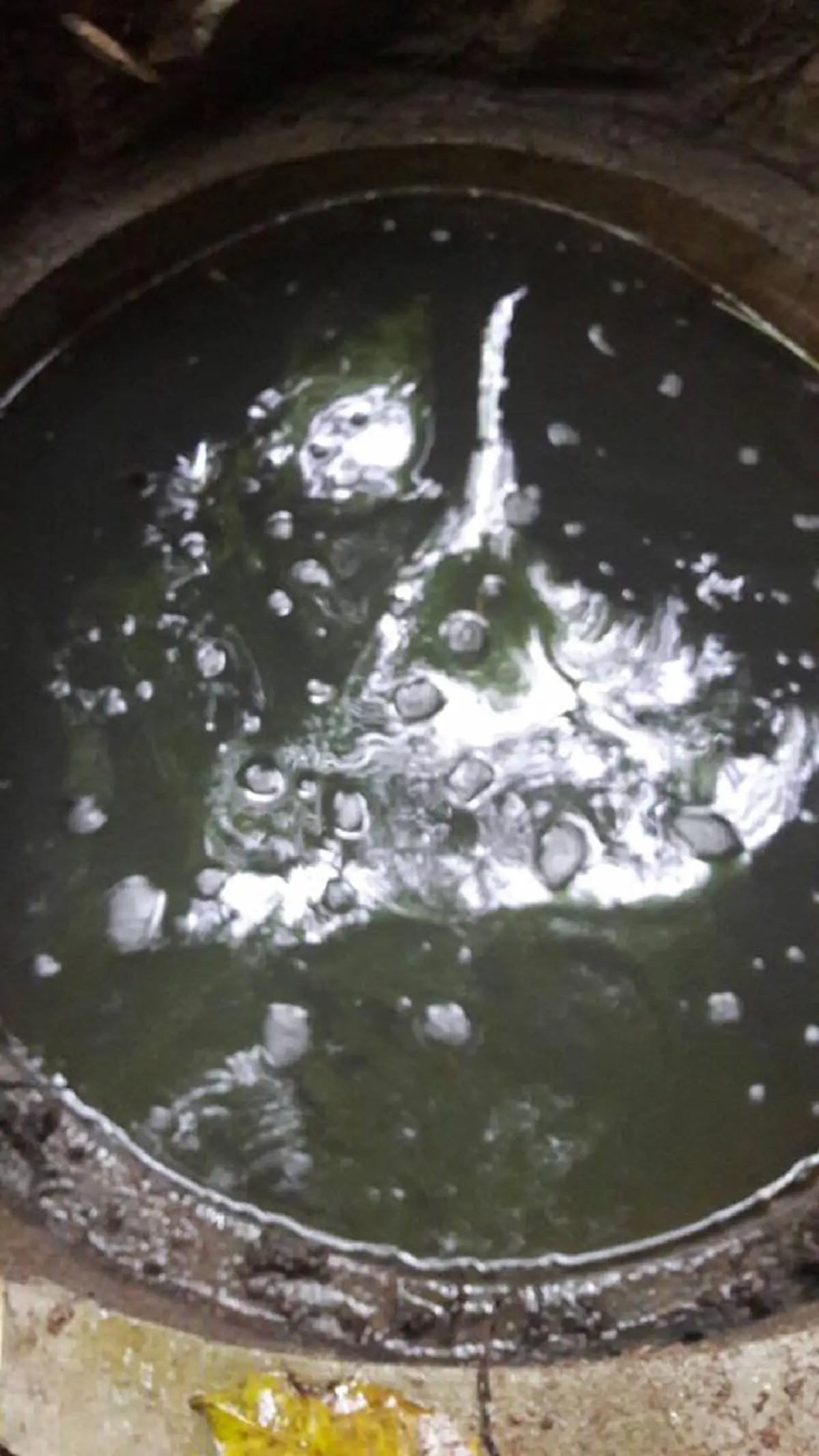 อัศจรรย์..ถ่ายภาพติดพญานาค!! คณะปฏิบัติธรรม สำรวจ บ่อน้ำทิพย์บ้านผีกองกอย ถ่ายภาพมาเจอพญานาคเต็ม ๆ  ยกมือสาธุ ทั้งคณะ (คลิป)