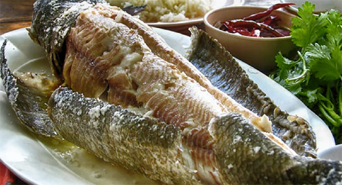 เชื่อหรือไม่ 10 ปลาไทยราคาบ้านๆ แต่มี โอเมก้า 3 สูง ไม่แพ้ชาติใดในโลก !?