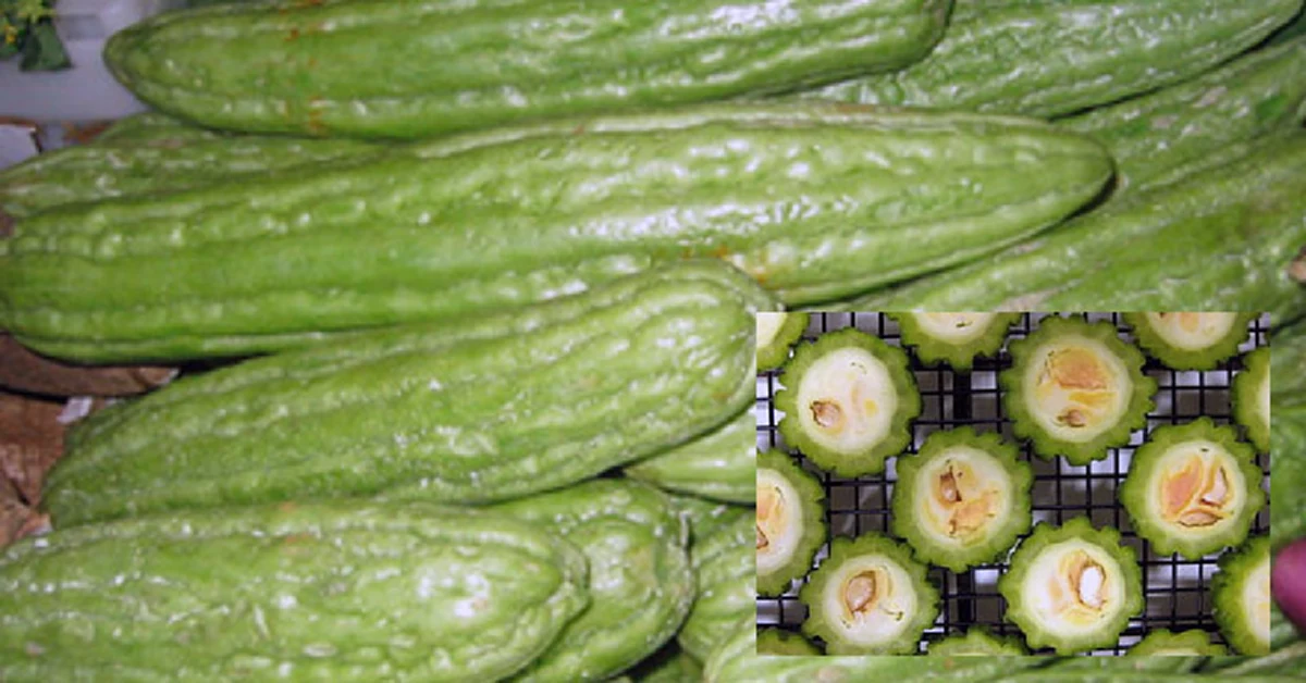 อย่ามองข้าม!!! "มะระ" ผักพื้นบ้าน เกิดมาเพื่อฆ่าเบาหวาน..ต้านมะเร็งเต้านม!! ของดีที่คนโบราณขนานนาม