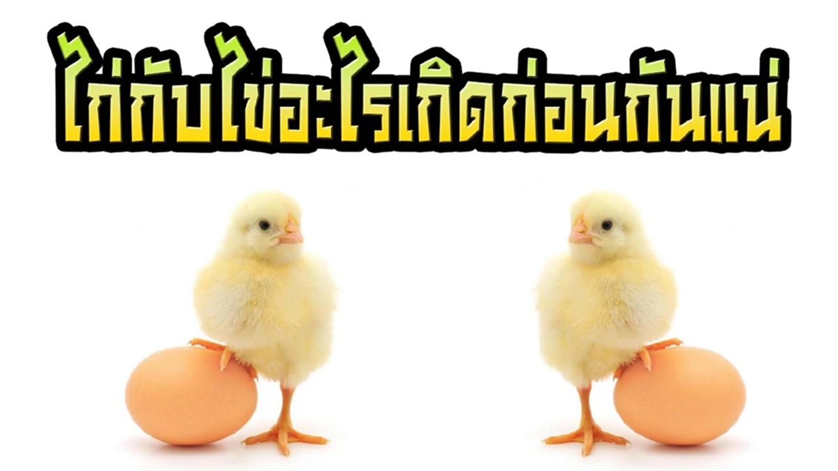 เฉลยจร้า ปัญหาโลกแตก ระหว่างไก่กับไข่อะไรเกิดก่อนกัน