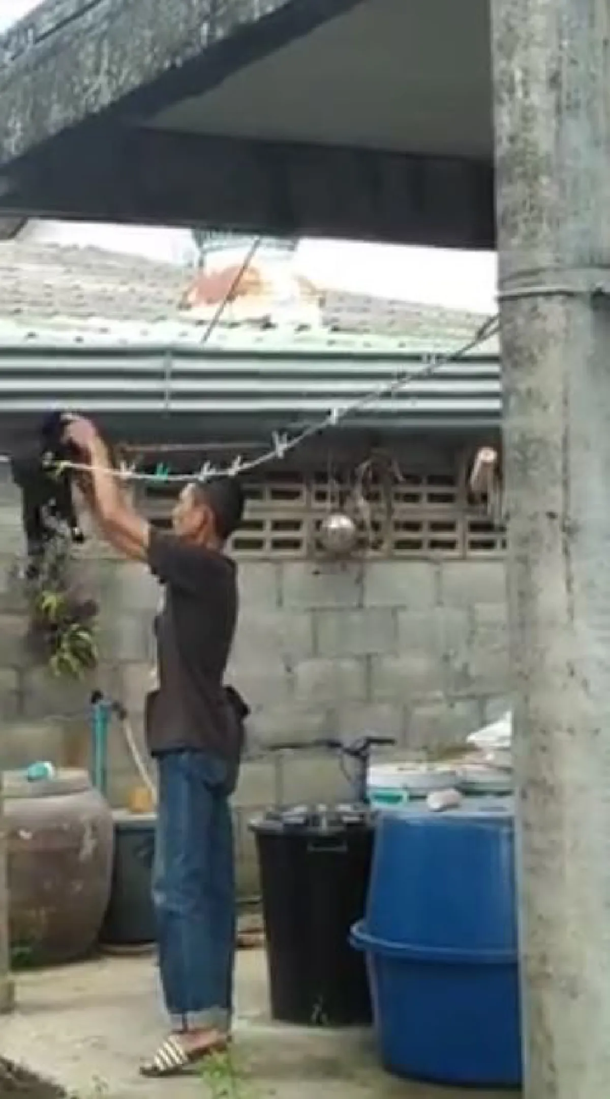 เจอแล้ว !!! "ผัวตัวอย่าง" มีผัวทั้งที มันต้องให้ได้แบบนี้ ช่วยเมียตากเสื้อชั้นใน (คลิป)