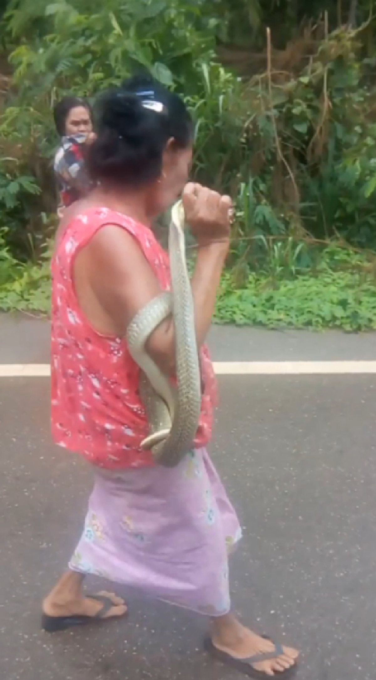 คุณยายแบกงูเดินข้างถนนมือเปล่า ทำชาวบ้านแตกตื่น
