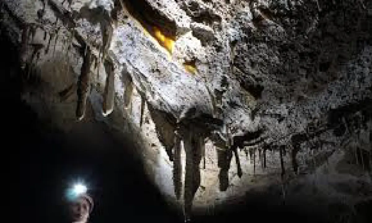 เปิดภาพล่าสุด น้องดอม ทีมหมูป่า ปัจจุบันโตเป็นหนุ่ม ฉายแววความหล่อระดับพระเอก