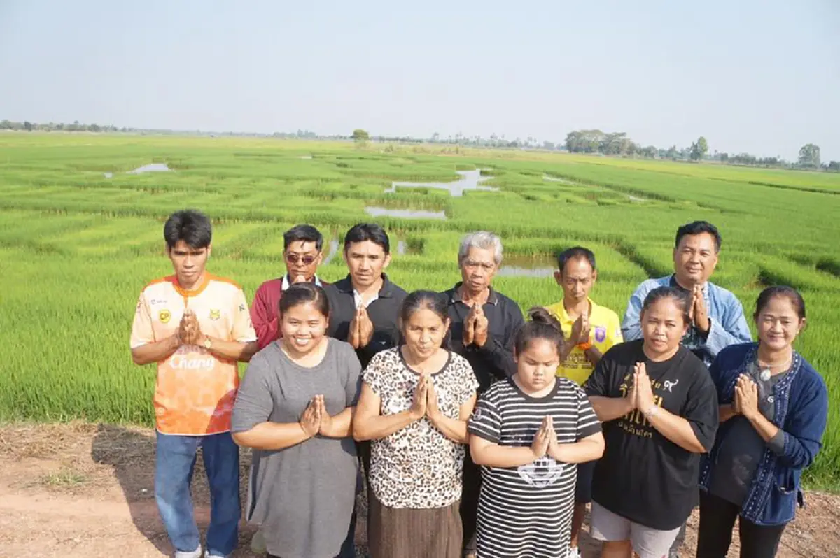 ด้วยความจงรักภักดี !!!! ชาวนาสุโขทัย ปลูกข้าวแปรอักษรสุดงดงาม ถวายความอาลัย "ในหลวง ร.๙"  (ภาพ)