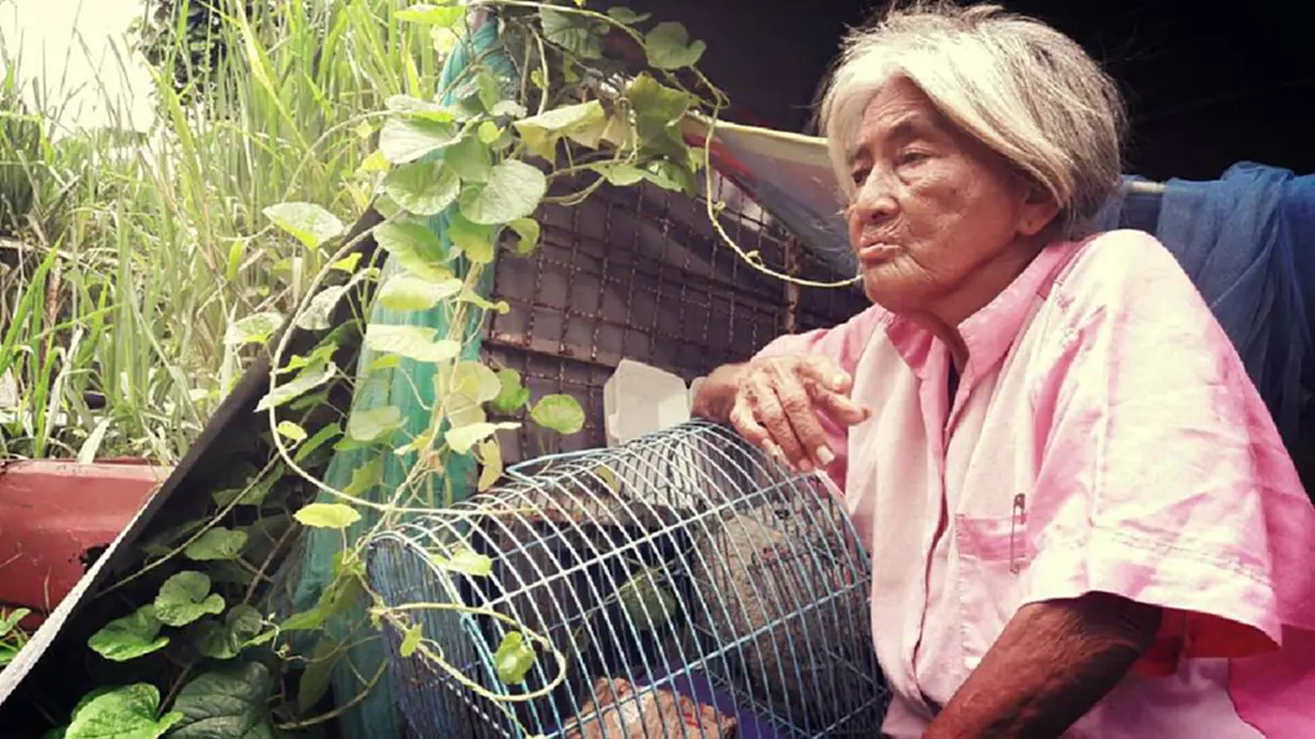 หมาเห็นยายยังจำได้ แต่ลูกยายสิ!!น้ำตาไหล หญิงชราอาศัยซากรถกระบะผุพังเป็นที่หลับนอน ไม่มีแม้บัตรปชช. ลูก6คนหนีหายเพื่อนบั้นปลายคือสุนัข(คลิป)