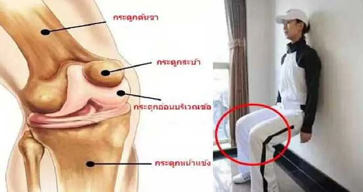 อย่าเลื่อนผ่าน!!! อาการเจ็บเข่าจะหายไป แค่ทำท่านี้วันละ10 นาที ลองดูไม่เสียหาย!!!