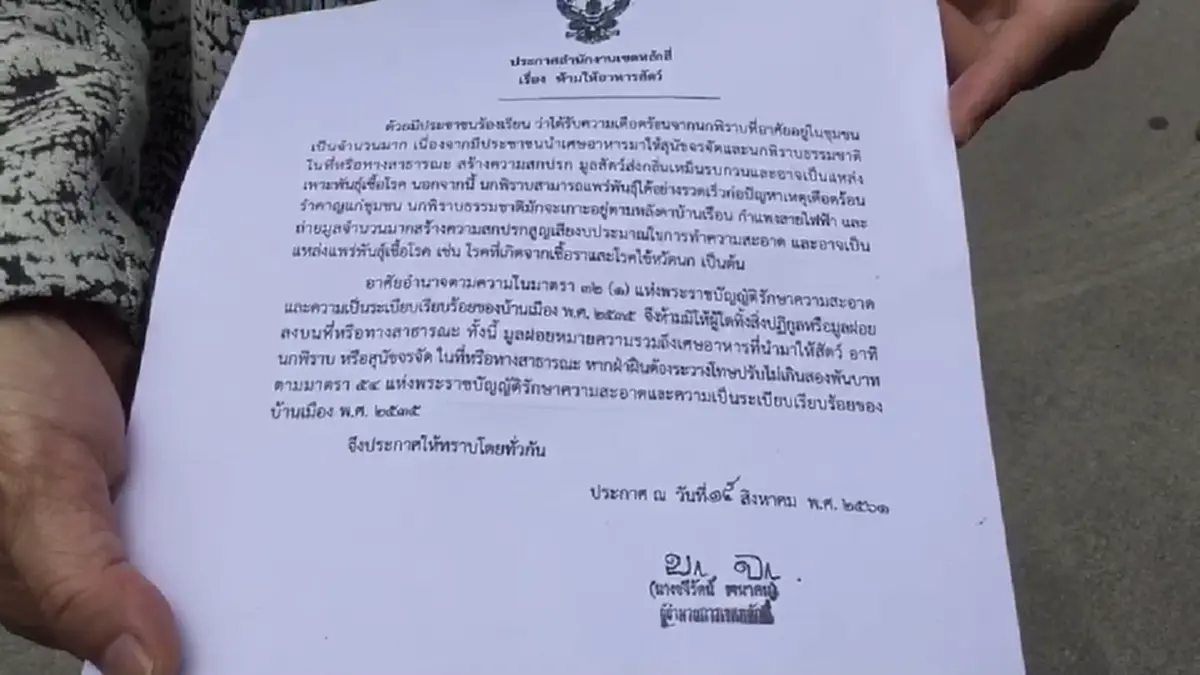 พลังโซเชียลล้วนๆ จนท.เขตฯเจรจาป้าเลี้ยงนกพิราบฝูงใหญ่ เตือนหยุดให้อาหาร ทำเพื่อบ้านเดือดร้อนเสี่ยงเจอโทษคุก