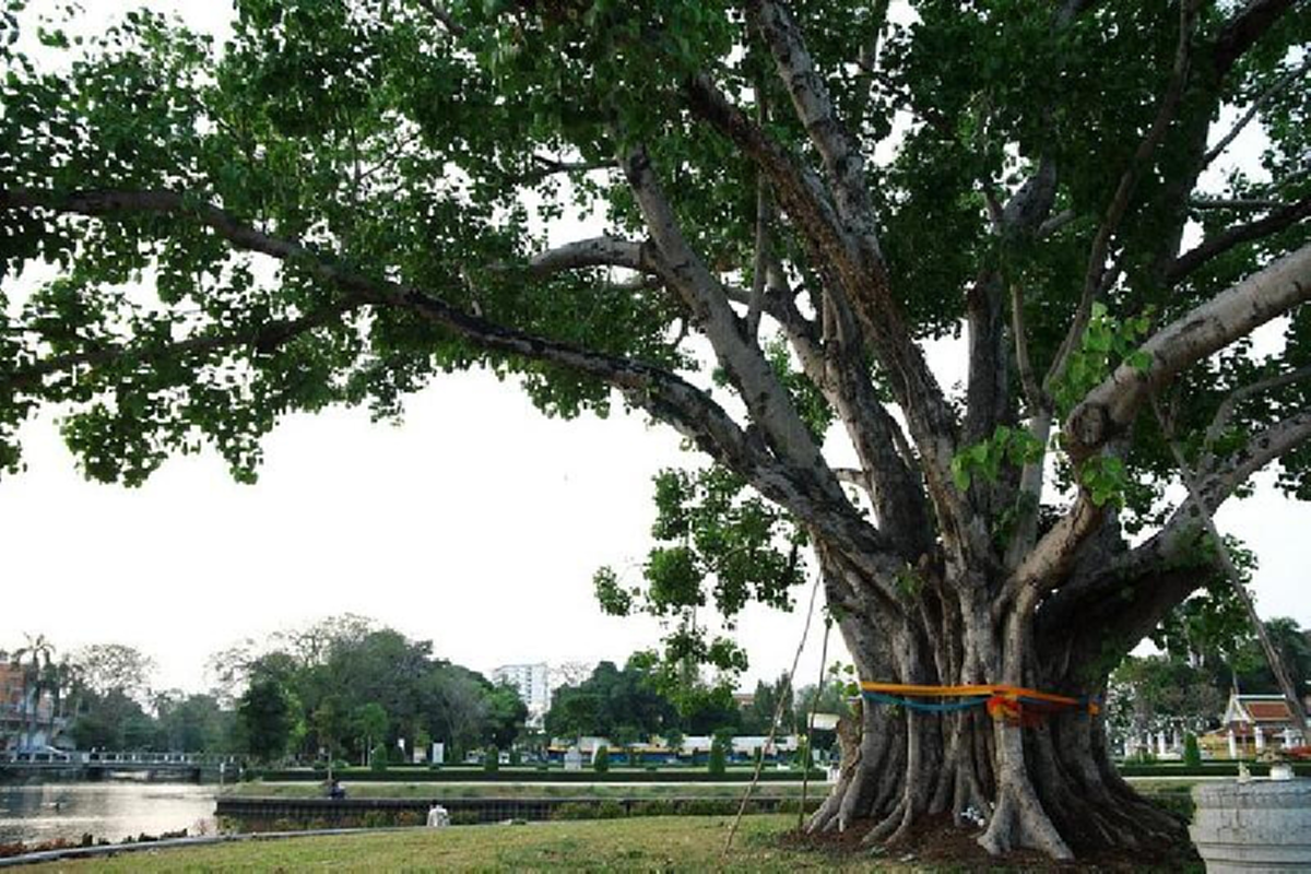 จะเสี่ยงโชคทั้งที!!! ต้องมีความหวัง! ลองแวะไปยัง ๑๐ สถานที่ศักดิ์สิทธิ์เหล่านี้ดู อาจจะมีคำตอบ!!!