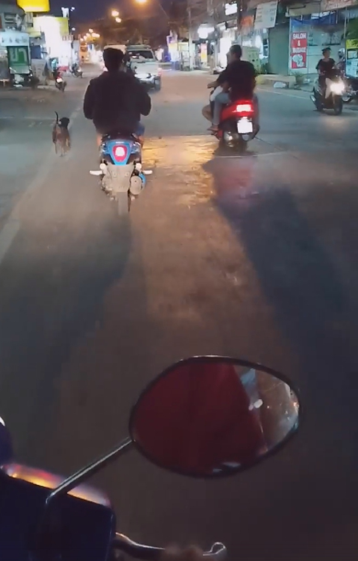เปิดคลิปนาที \"สุนัข\" วิ่งตามรถเจ้าของ โดยที่ไม่รู้ตัวว่า \"โดนทิ้ง\"