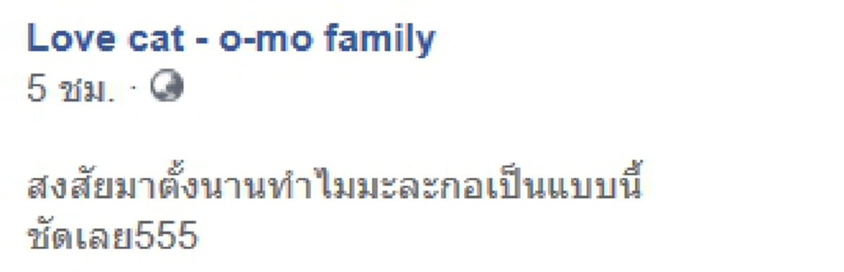 เจ้าของสงสัยมานาน ทำไมมะละกอถึงแหว่ง แท้จริงคือฝีมือแมว