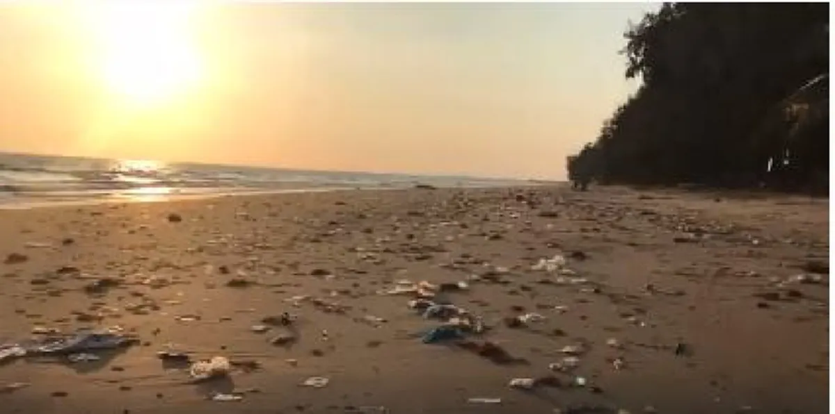 ขายขี้หน้าทั้งประเทศ !!?? คลิปแฉพฤติกรรมมักง่าย! ขยะเกลื่อนหาด เห็นแล้วน้ำตาแทบไหล...อายโลกบ้างไหม? (มีคลิป)