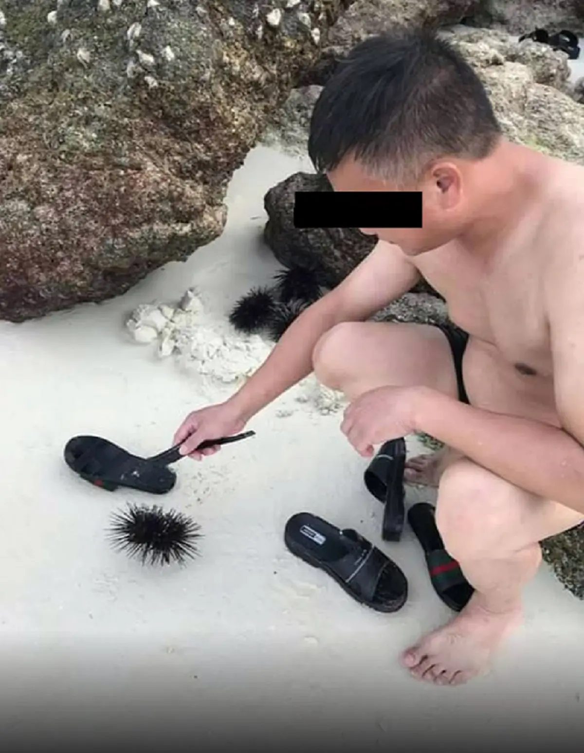 เผยความจริง นักท่องเที่ยวจีนไม่ได้ทุบหอยเม้น