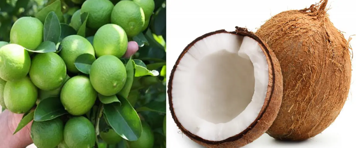 ผมสวยเป็นธรรมชาติ จนผู้ชายต้องเหลียวมอง!!! เคล็ดลับทำให้ "ผมตรงสลวย" มีน้ำหนัก หมดปัญหาชี้ฟู  จะทำทรงไหนก็สวยเก๋ !!