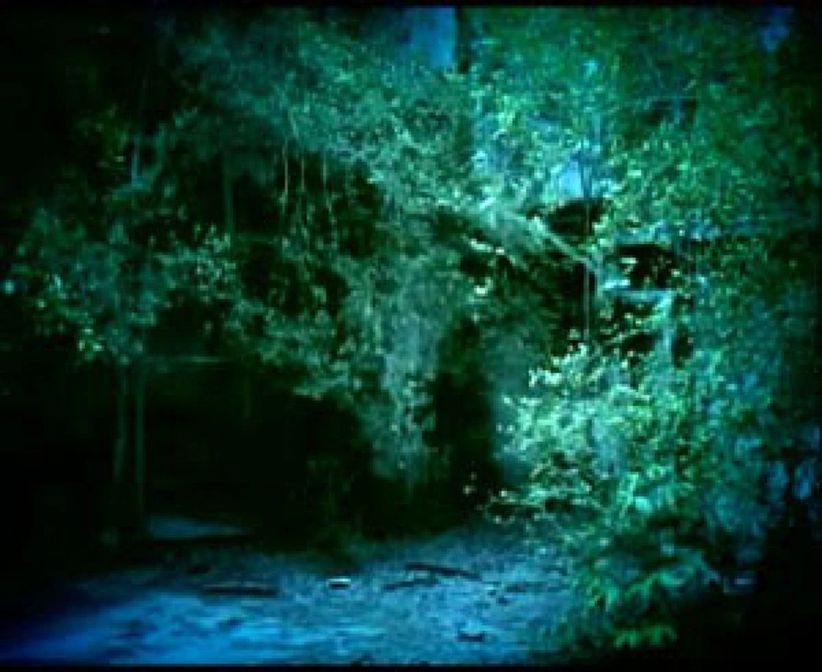 หลอนขนหัวลุกทุกที่!! รวม 13 สถานที่ ที่เชื่อกันว่ามีวิญญาณอาศัยอยู่และเฮี้ยนที่สุดในประเทศไทย สำหรับใครที่คิดอยากจะลองพิสูจน์!!