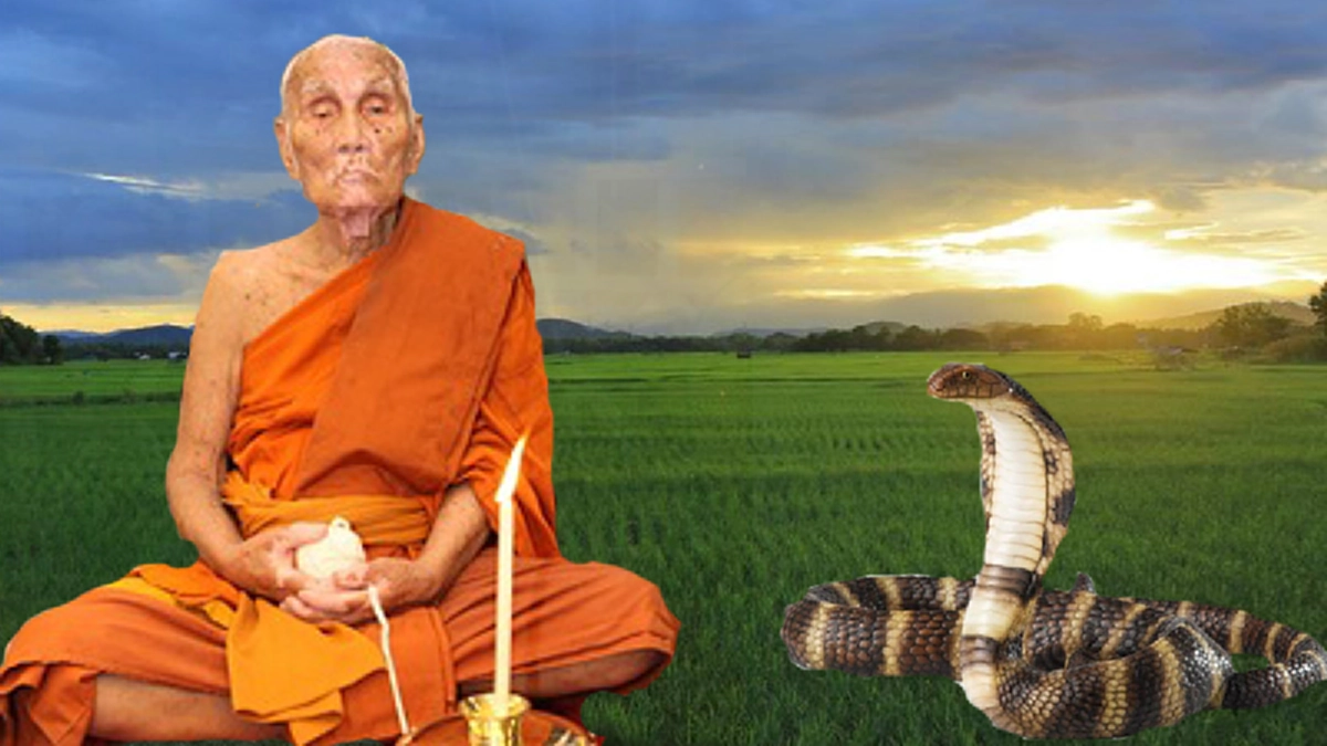 ต่อให้เป็นเจ้าแม่นาคี ก็ต้องสยบ!! ถูกงูกัด มาหาหลวงพ่อวิบูลย์!  รอดตายปาฏิหาริย์ทุกราย สมเป็นศิษย์เอกหลวงพ่อจาด  ละสังขารแล้วร่างไม่เน่า!!