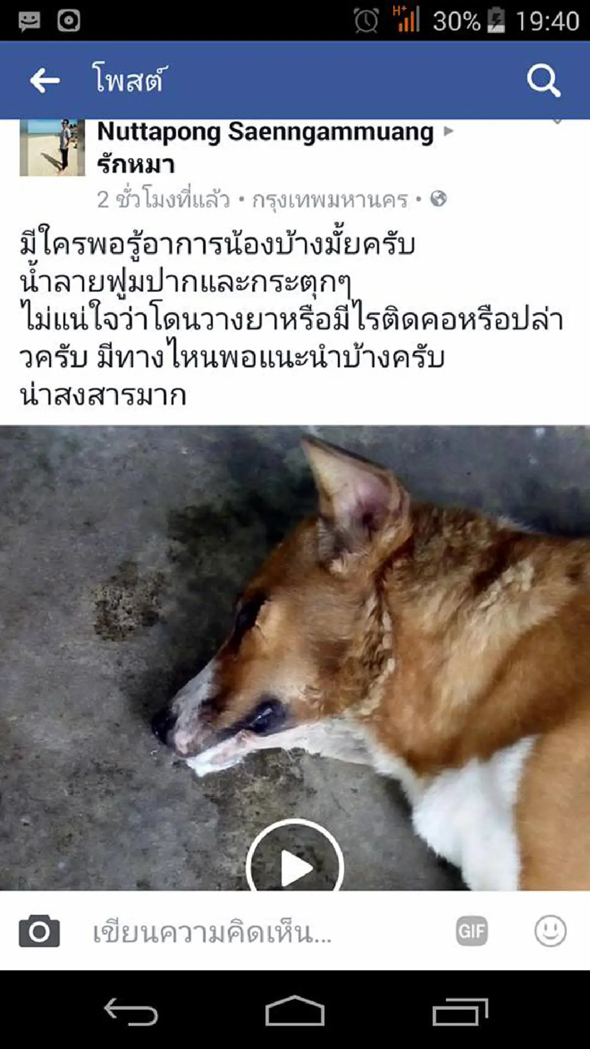 นางฟ้าตัวจริง!! ความประทับใจ จากใจหนุ่มคนหนึ่ง ถึง นักร้องดัง "สุนารี" หลังยื่นความช่วยเหลือเจ้าตูบใกล้สิ้นลมจนรอด (รายละเอียด)