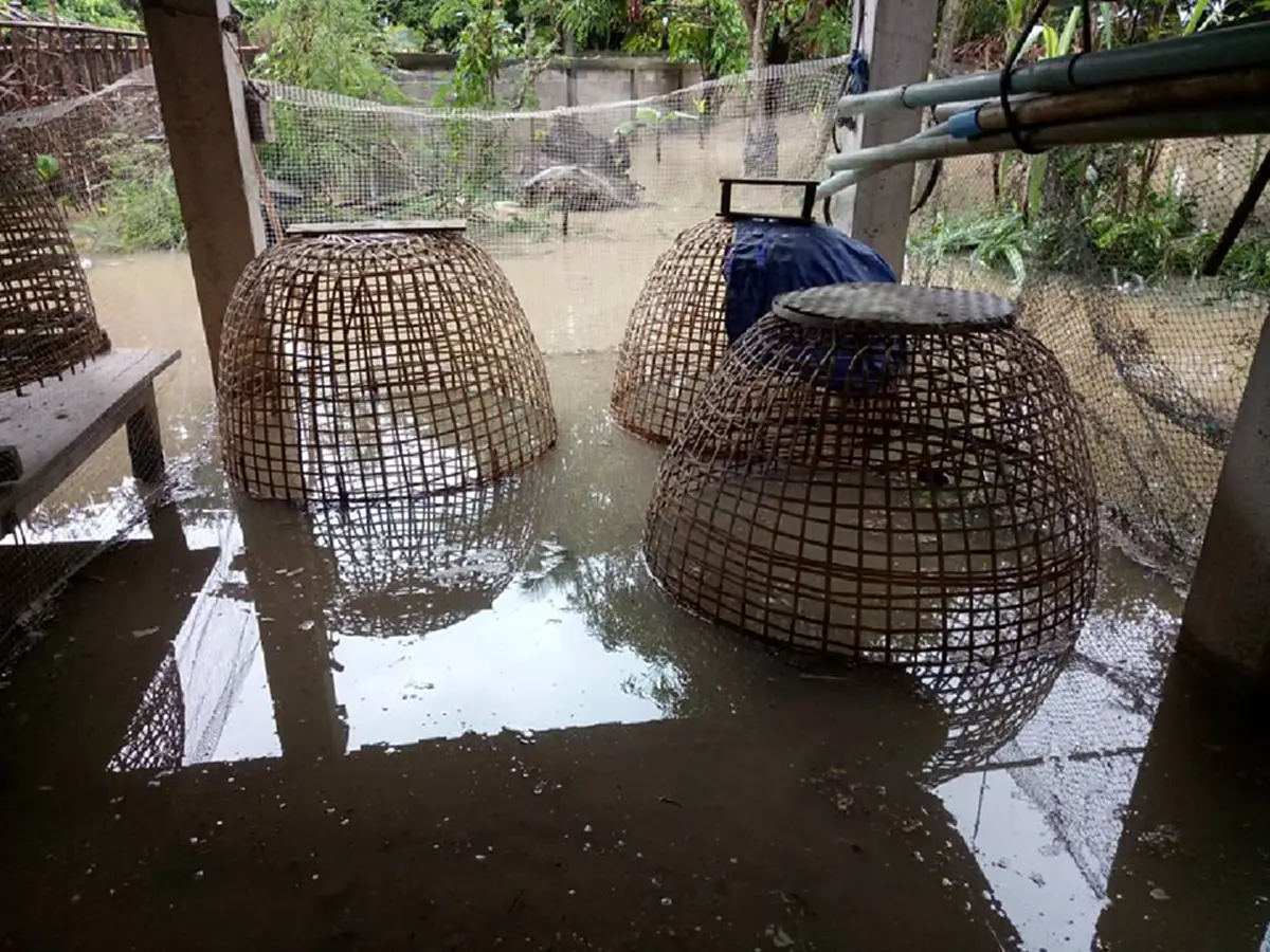 ภาคเหนือยังอ่วม!! พายุโซนร้อน “ลาตัส” ส่งผลฝนตกหนัก หลายจังหวัดเตรียมรับมือพายุฝนและน้ำป่าไหลหลากฉับพลัน