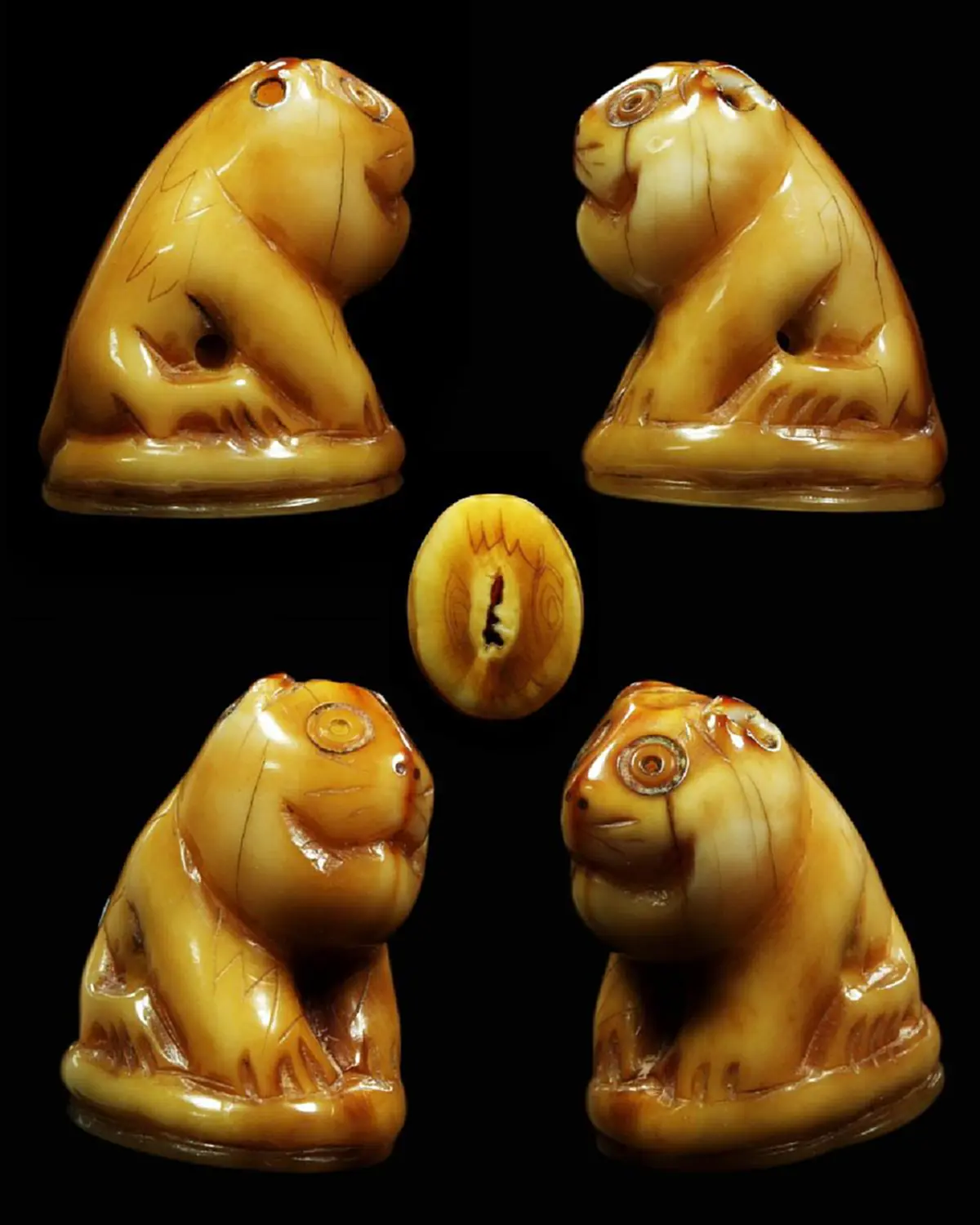 สุดยอดเสือเมืองสยาม!!หลวงพ่อปานวัดบางเหี้ย ถวายเสือ ร.5 แต่!!กระโดดลงน้ำเฉย ต้องเอาหมูมาล่อ เป็นที่อัศจรรย์ยิ่ง!! สาธุ!