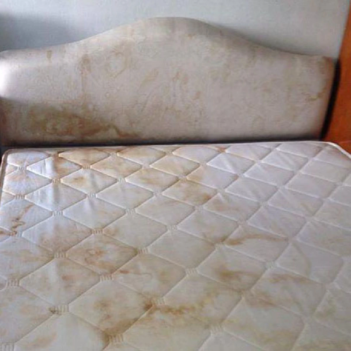 หามานาน!! วิธีกำจัดคราบและกลิ่นฉี่บนที่นอน ด้วยวิธีง่ายๆ คืนความขาวใหม่ให้กลับมาอีกครั้ง !!!