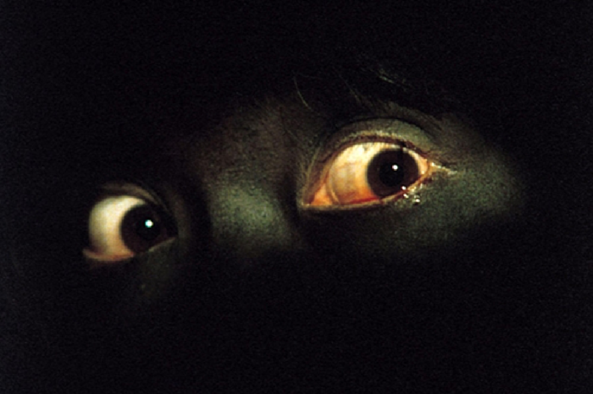 ตำนานเฮี้ยน !!! "เรือนไทยแดง" จากมหาวิทยาลัยดังนครปฐม !!! ประวัติเรื่องเล่าสุดสะพรึงกลัว ของเหล่านักศึกษากลับเย็น !!!