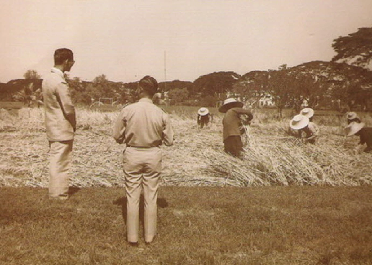 น้ำตาจะไหล!! ในหลวงตรัส "ข้าวกล้องนี้ดี คนบอกว่ากินข้าวกล้องต้องเป็นคนจน เราก็เป็นคนจน" พระราชาผู้ทรงอุทิศพระวรกายเพื่อชาวนาไทย(ชมคลิป)!!