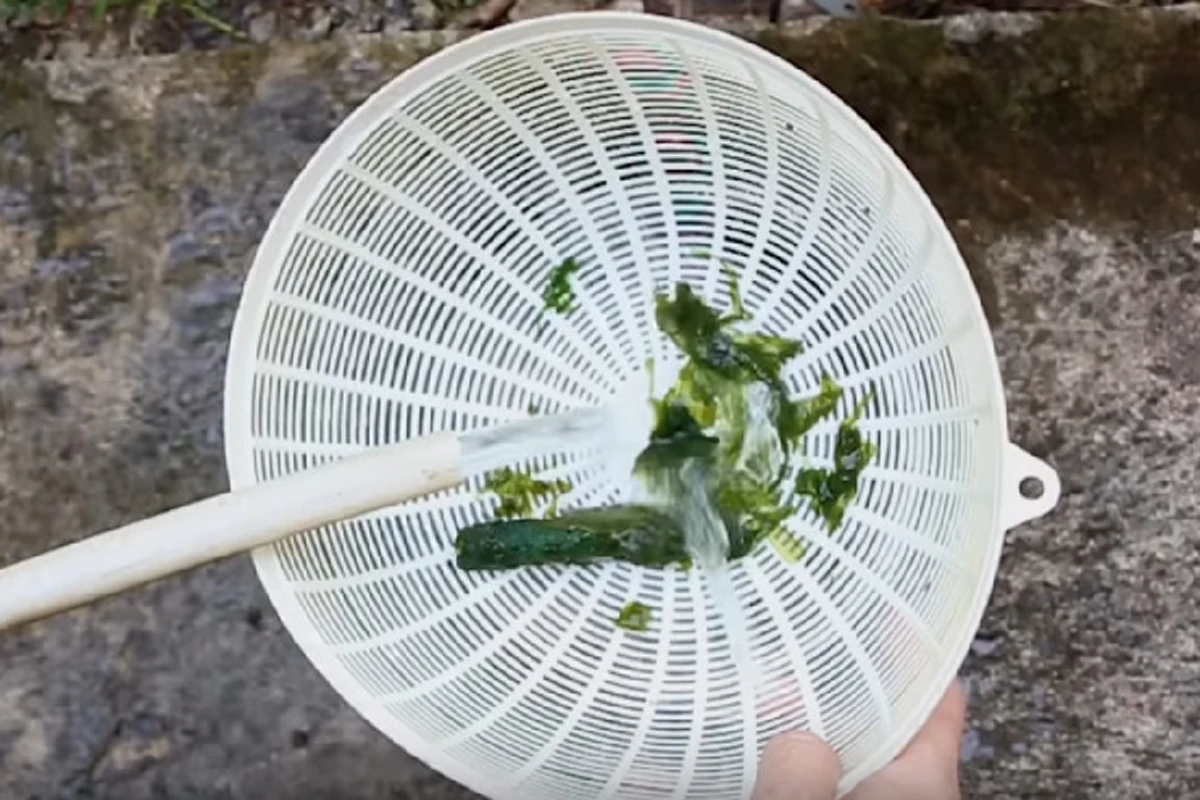 โง่มาตั้งนาน ! เผยวิธีกำจัด "ตะไคร่" ในสายยางเหลือเชื่อแค่ใช้สิ่งนี้....ไม่กี่วินาทีก็สะอาดเหมือนเพิ่งซื้อมาใหม่! (คลิป)