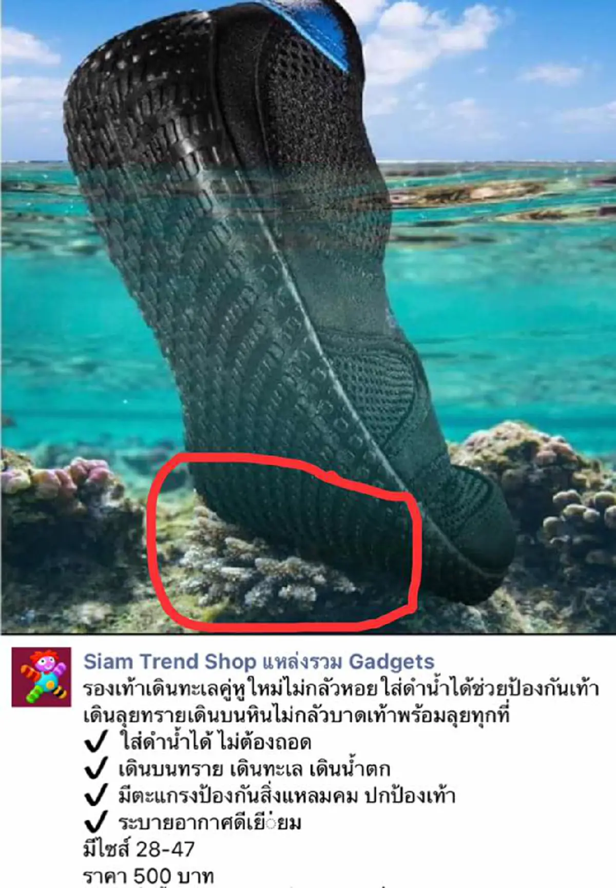 เดือดควันออกหู ?!?! "ผศ.ธรณ์" ส่งข้อความสั้นๆถึงโฆษณารองเท้า แต่ได้ใจความ "บาดตาบาดใจมาก"...คนตามเมนต์กระหน่ำ (รายละเอียด)