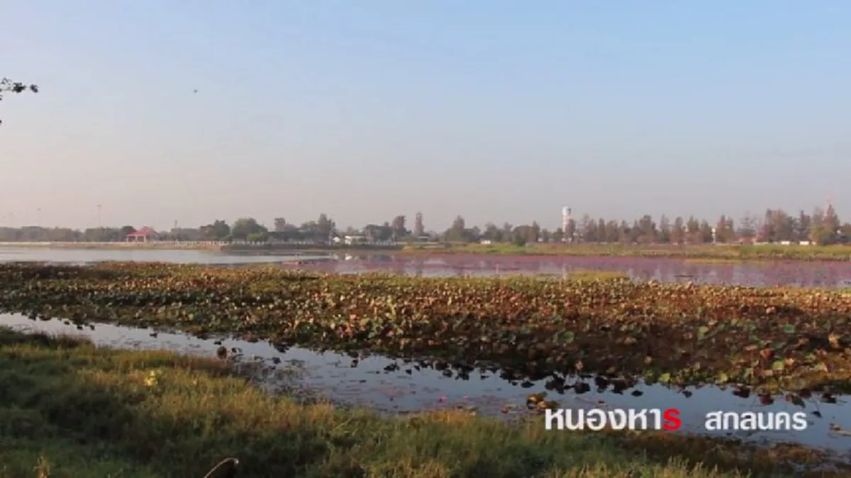 #หนึ่งเดียวในโลก!! ภาพปัจจุบัน “เมืองหนองหาร” ที่ถูกพญานาคถล่ม จมลงใต้บาดาล ไม่ใช่แค่ตำนาน แต่มีอยู่จริง !! (มีคลิป)